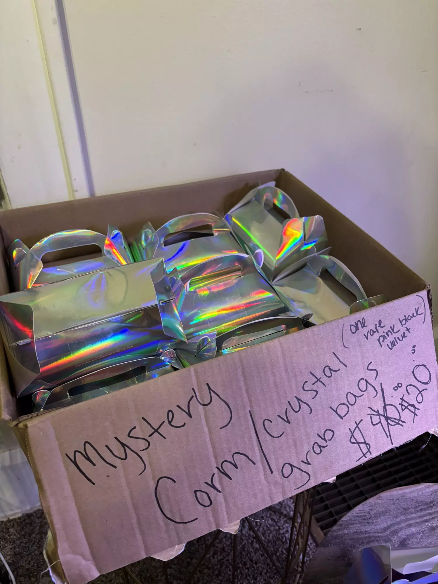 plant/Mystery corm box / set up & goodies-0
