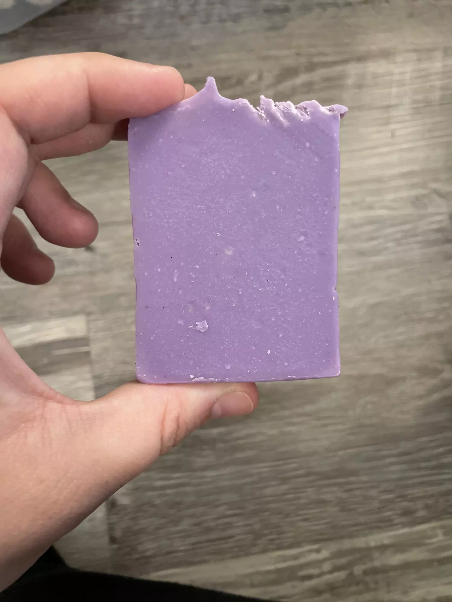 plant/Autumn Berry Lard Soap-2