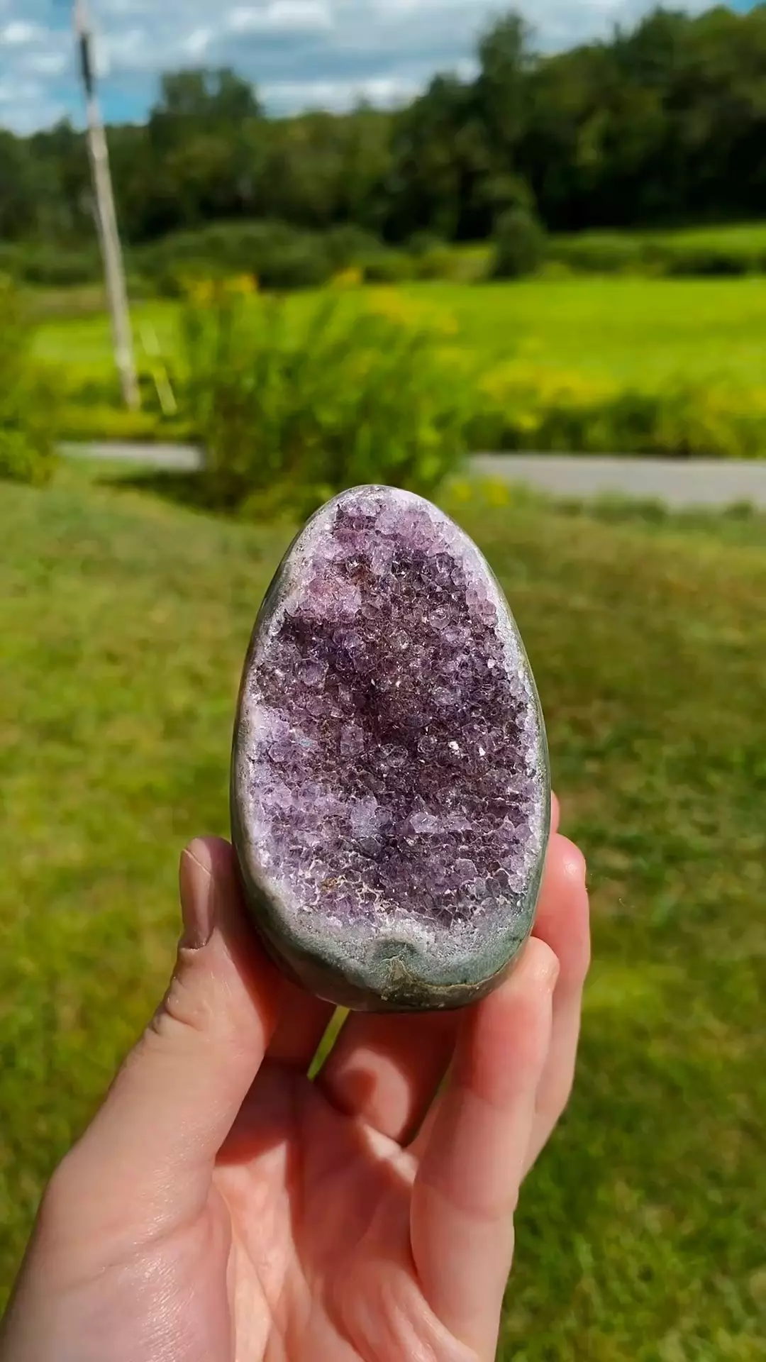 plant/Uruguay Amethyst Cut Base #7 / Crystal Specimen-0