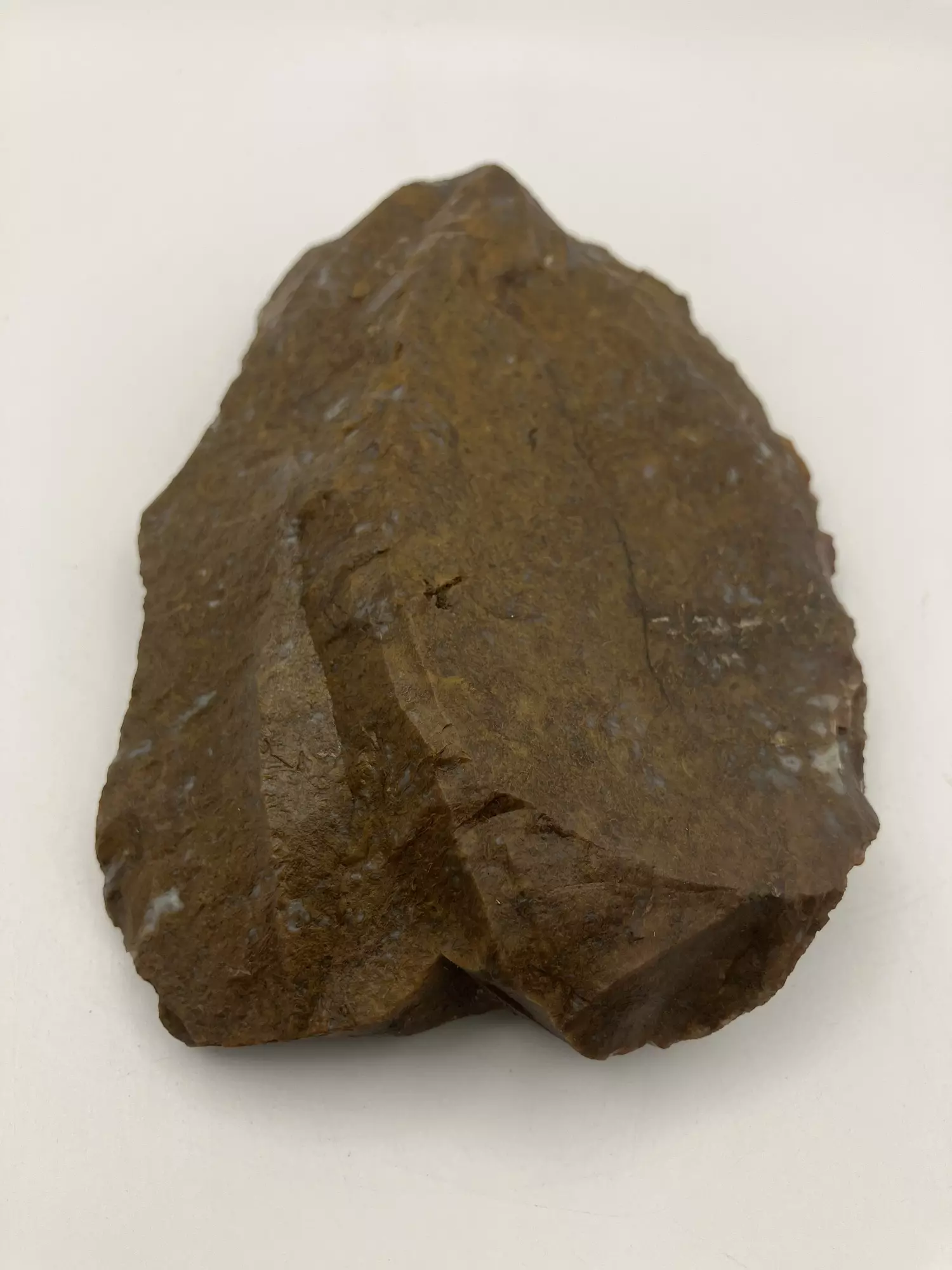 plant/Maury Mountain Moss Agate - Gold - 13.85oz-1