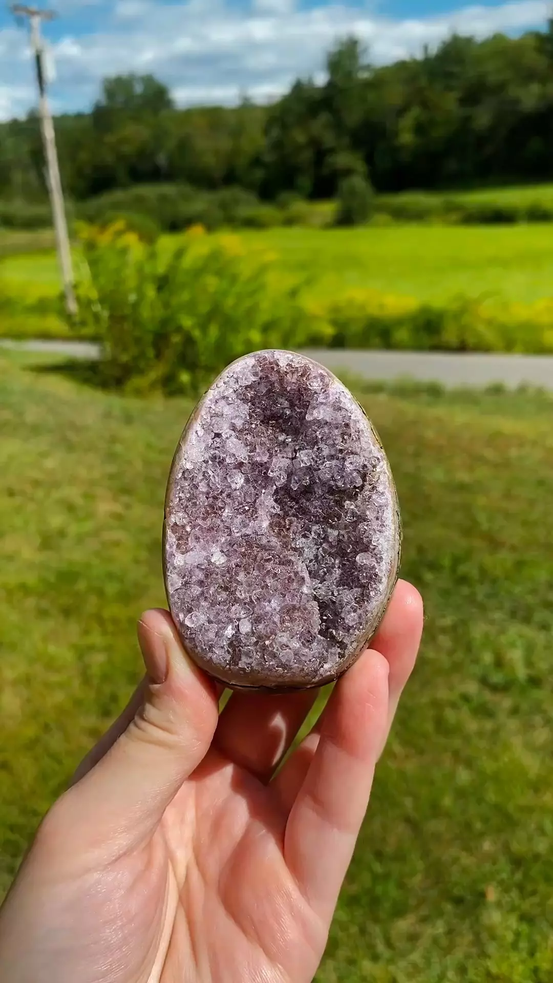plant/Uruguay Amethyst Cut Base #5 / Crystal Specimen-0