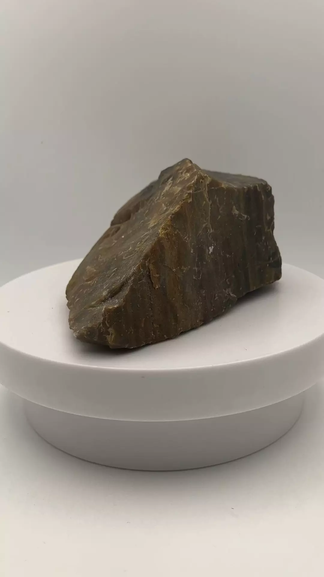 plant/Arizona Petrified Wood - Agatized - 1lb 0.55oz-4
