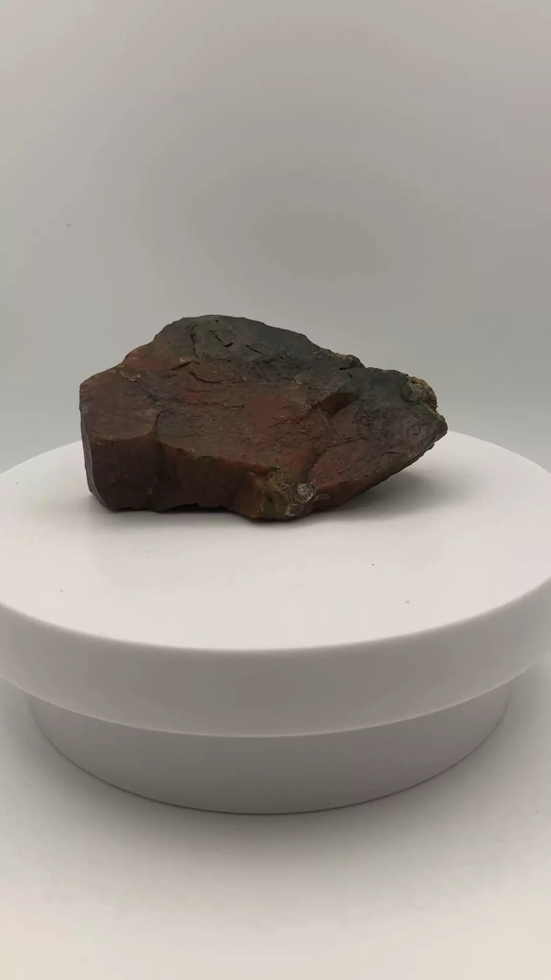 plant/Maury Mountain Moss Agate - Red - 4.80oz-4