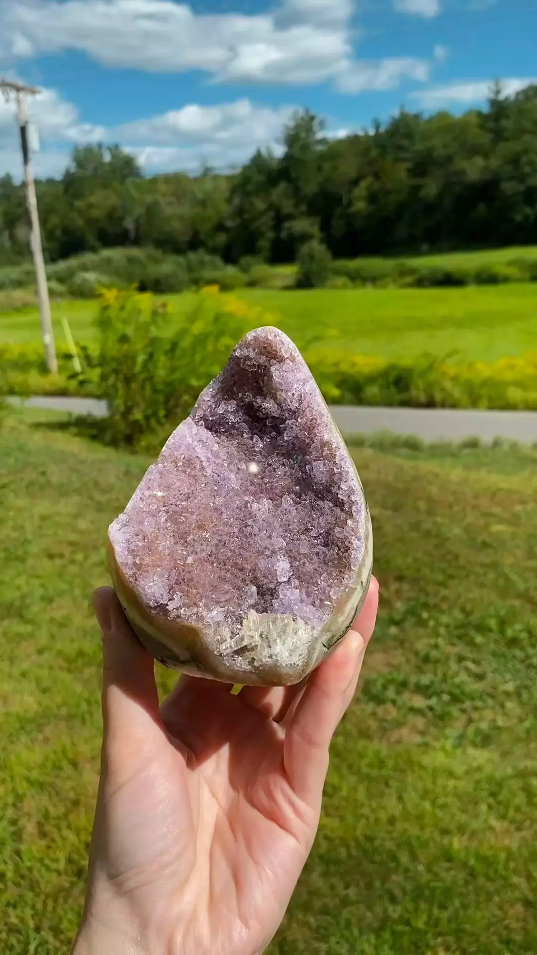 plant/XL Uruguay Amethyst Cut Base #1 / Large Crystal Specimen-0