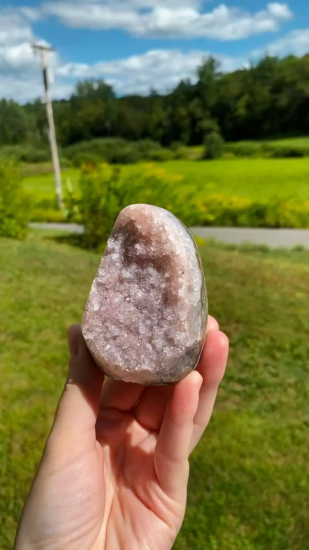 plant/Uruguay Amethyst Cut Base #3 / Crystal Specimen-0