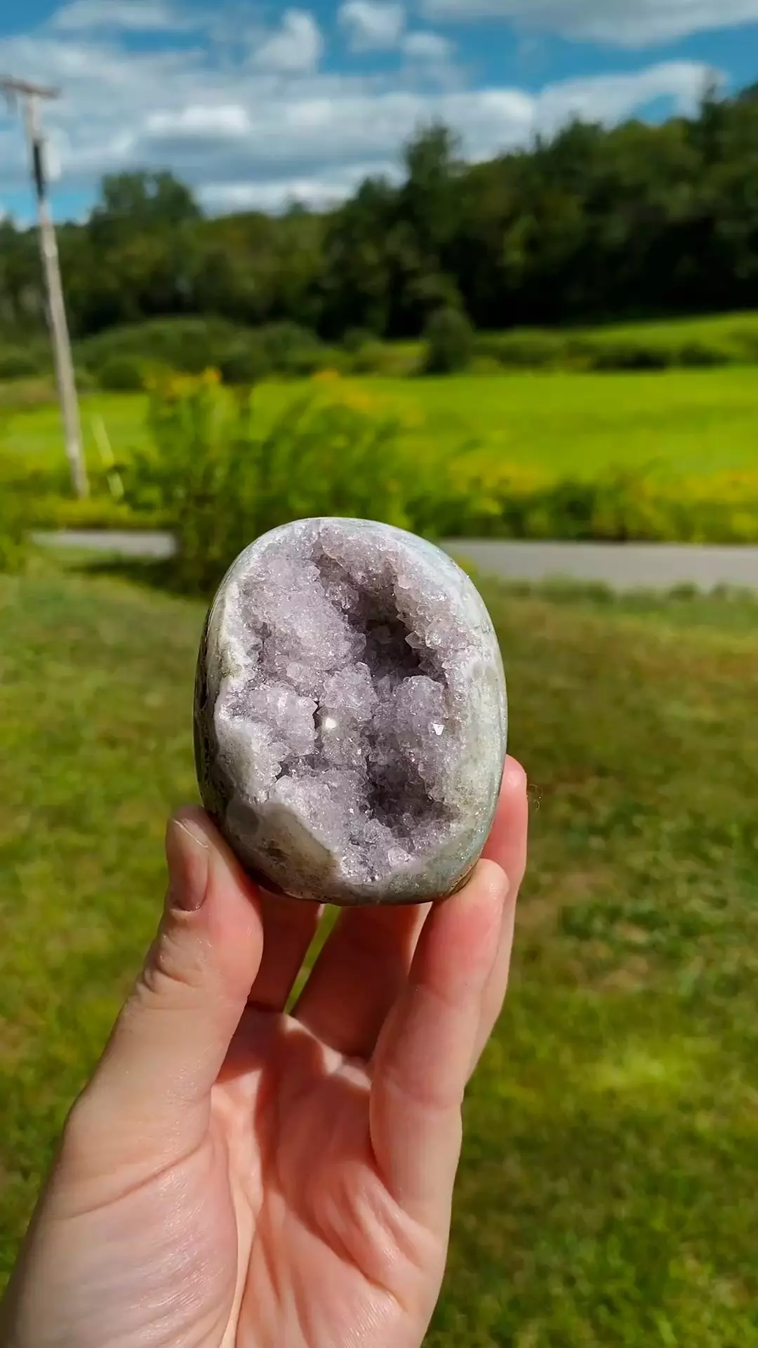 plant/Uruguay Amethyst Cut Base #8 / Crystal Specimen-0