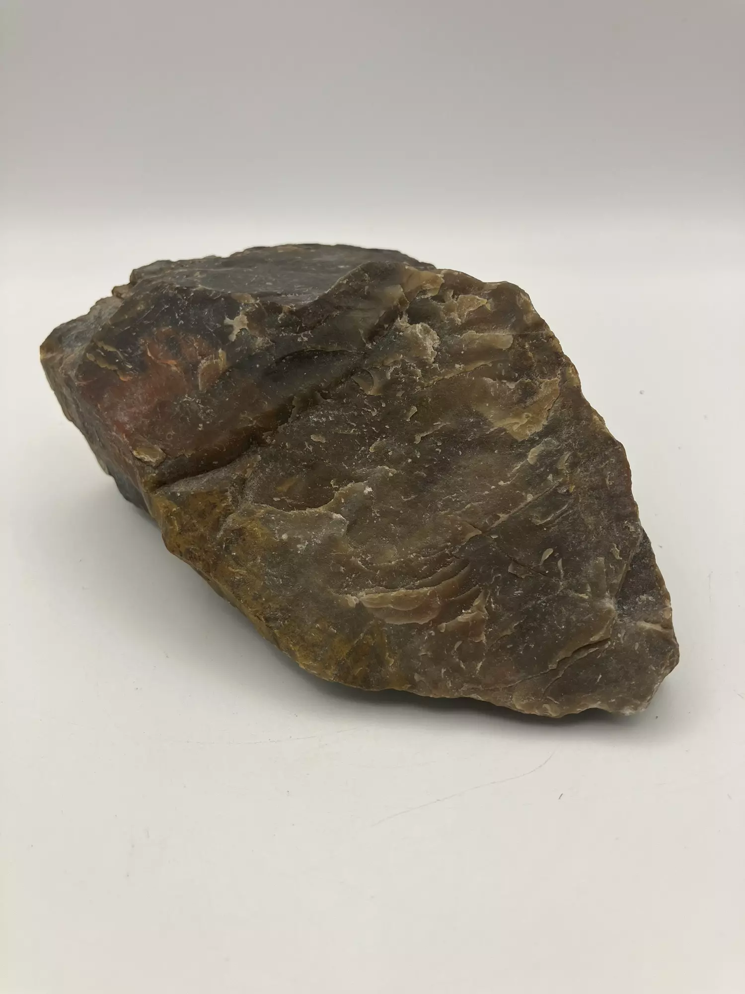 plant/Arizona Petrified Wood - Agatized - 1lb 0.55oz-0