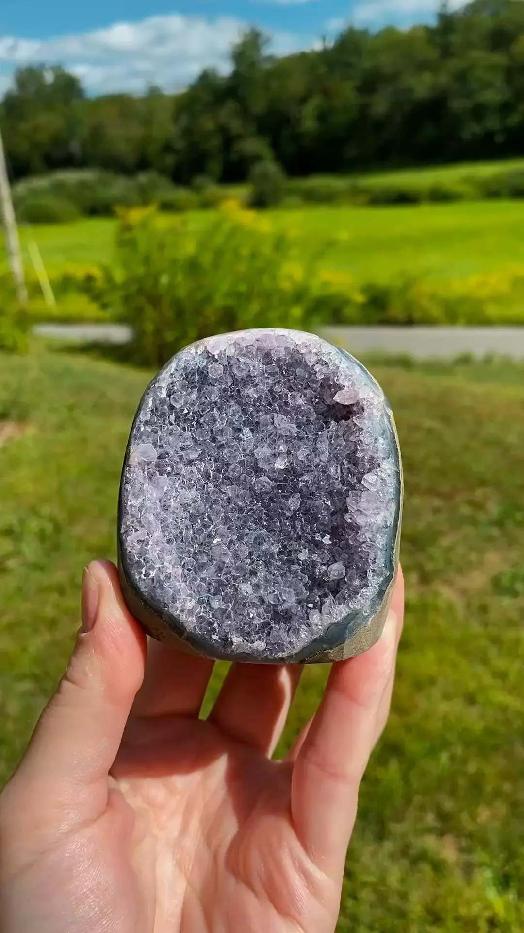 plant/Uruguay Amethyst Cut Base #2 / Crystal Specimen-0