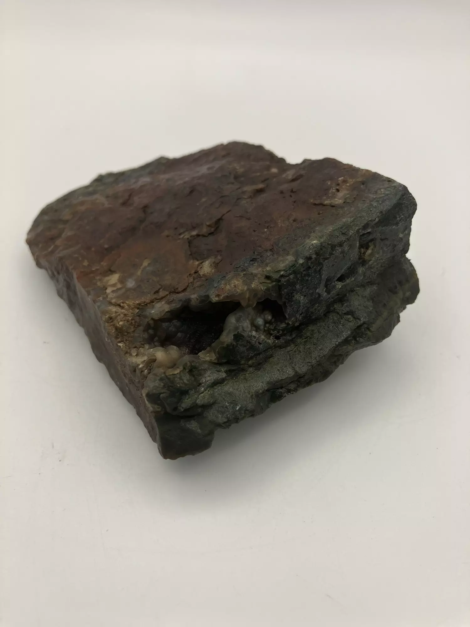 plant/Maury Mountain Moss Agate - Red - 8.45oz-1