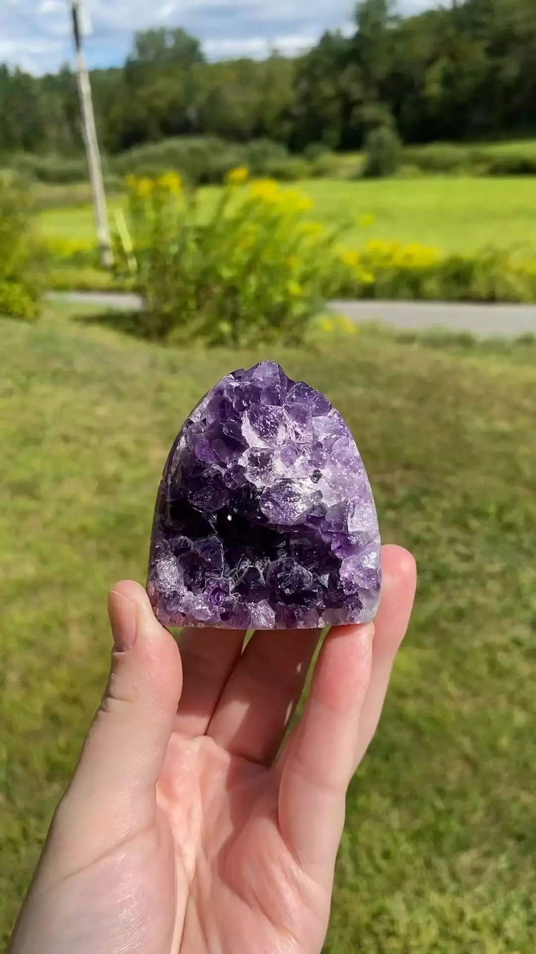 plant/Uruguay Amethyst Cut Base #6 / Crystal Specimen-0