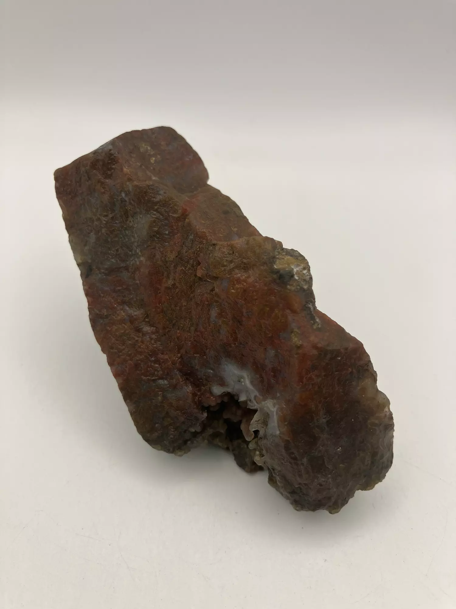 plant/Maury Mountain Moss Agate - Red - 4.80oz-0