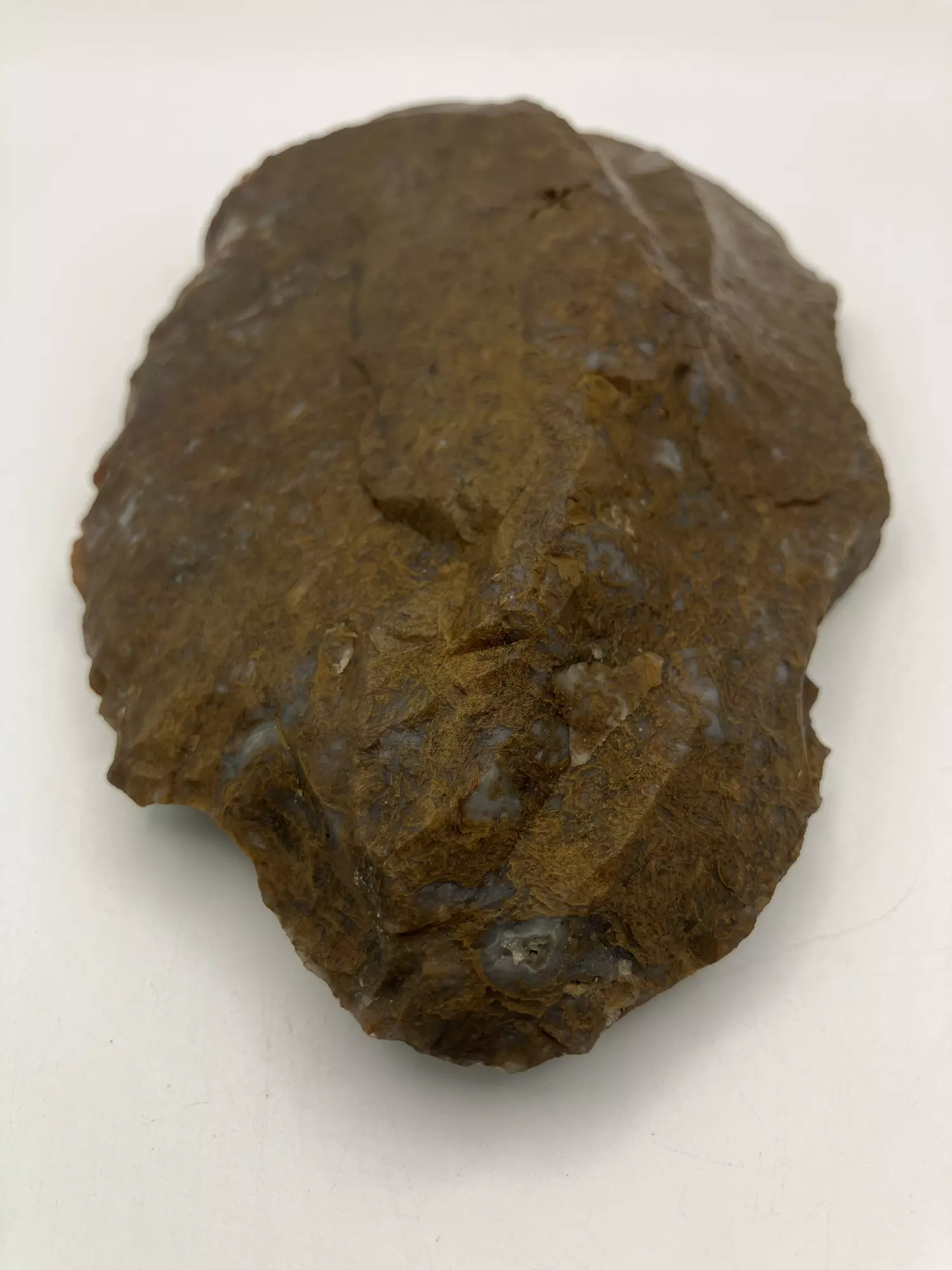 plant/Maury Mountain Moss Agate - Gold - 13.85oz-0