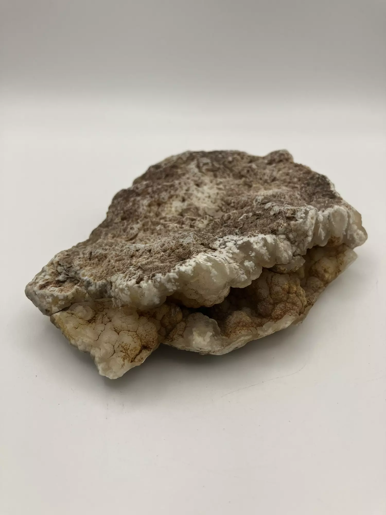 plant/Stinking Water Moss Agate - 11.95oz-1