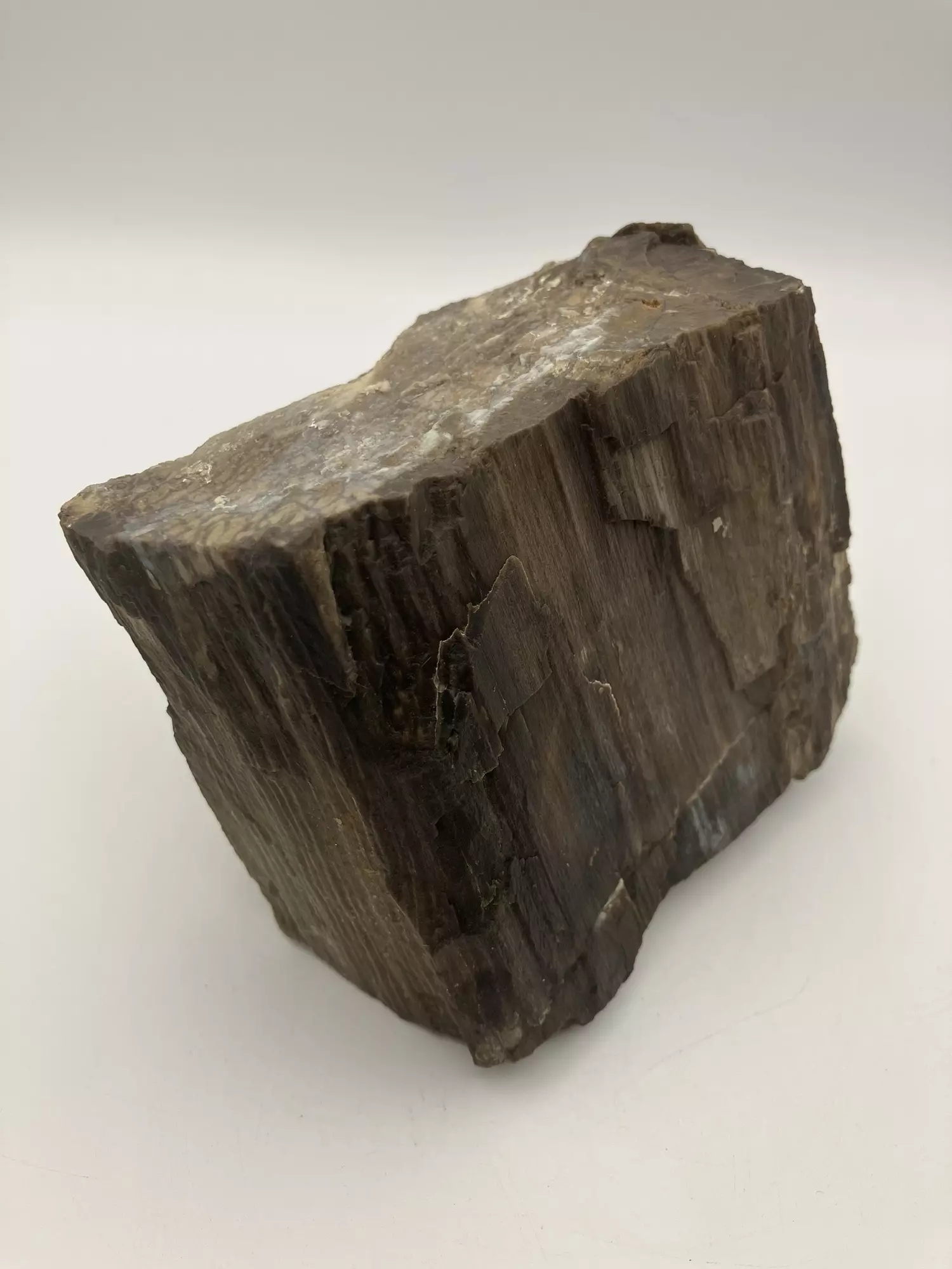 plant/Mcdermitt Petrified Wood - Agatized - 1lb 4.25oz-1