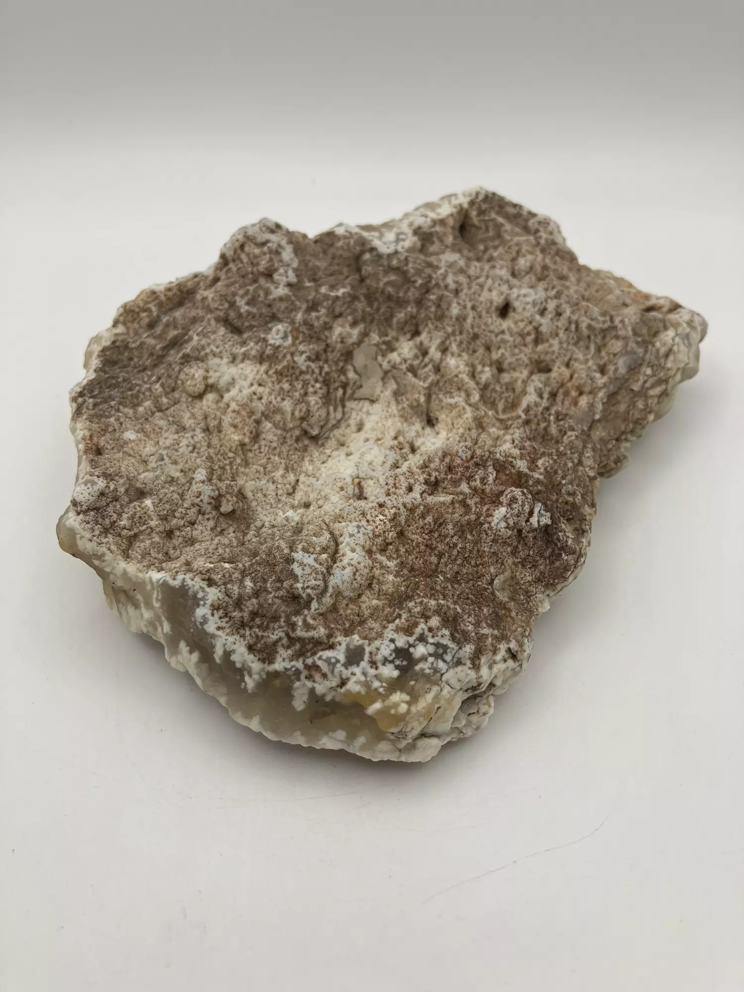 plant/Stinking Water Moss Agate - 11.95oz-0