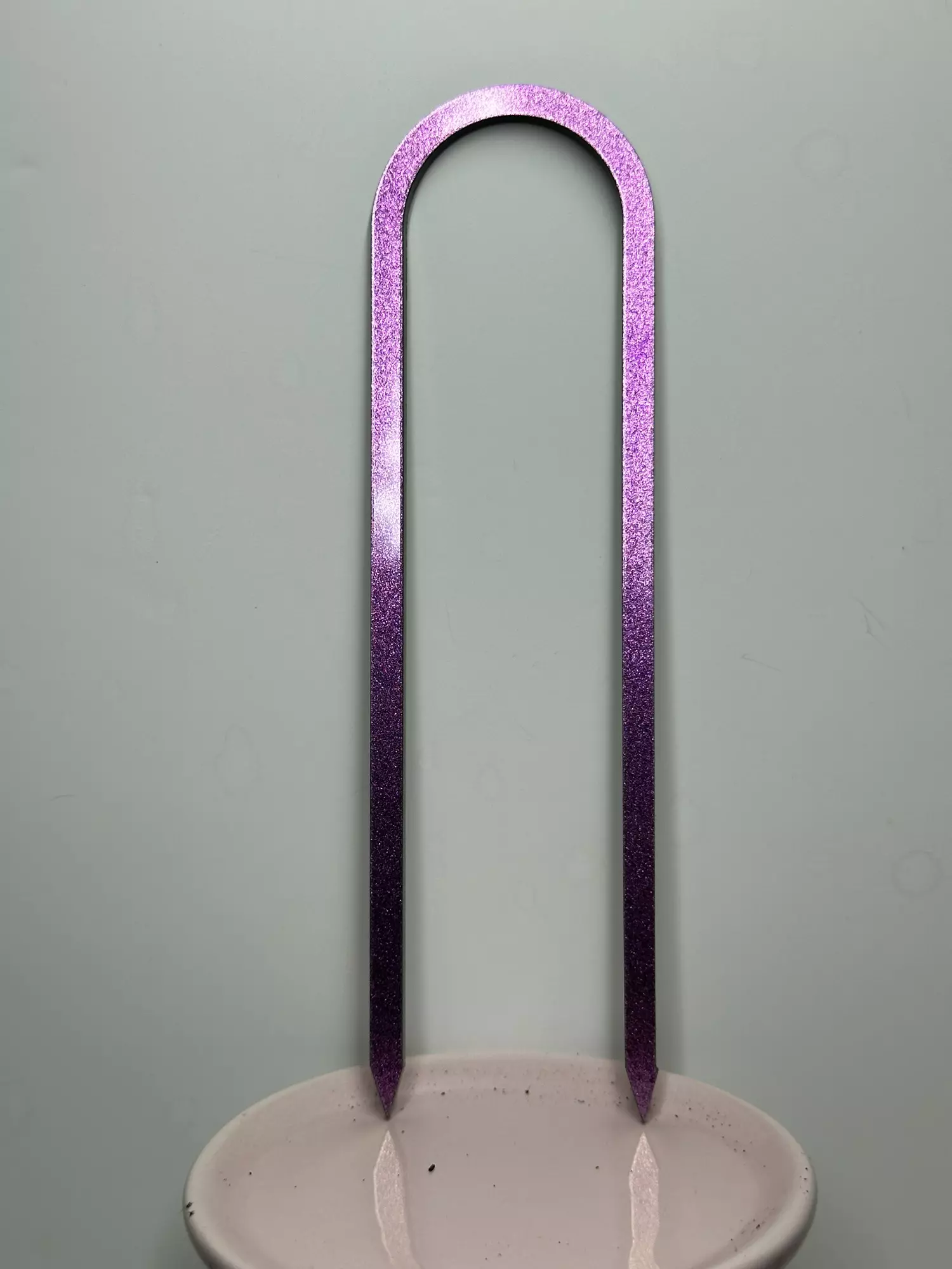 plant/7” Arch Trellis ‘Pink Chrome’-1