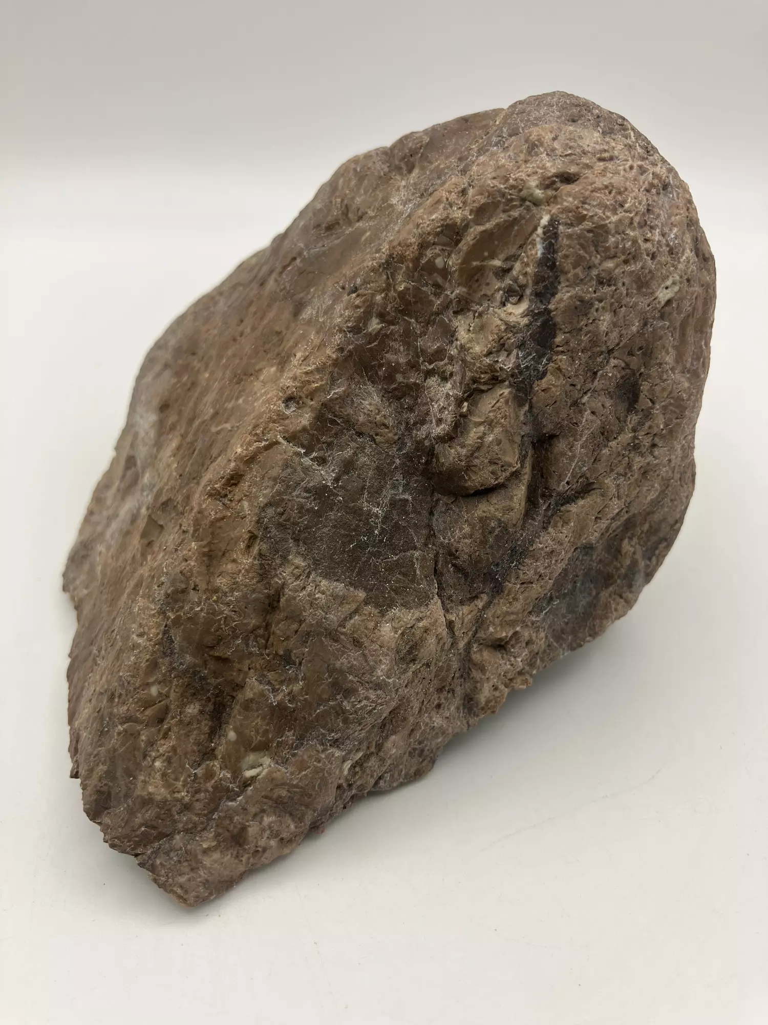 plant/Chocolate Jasper - 1lb 6.30oz-1