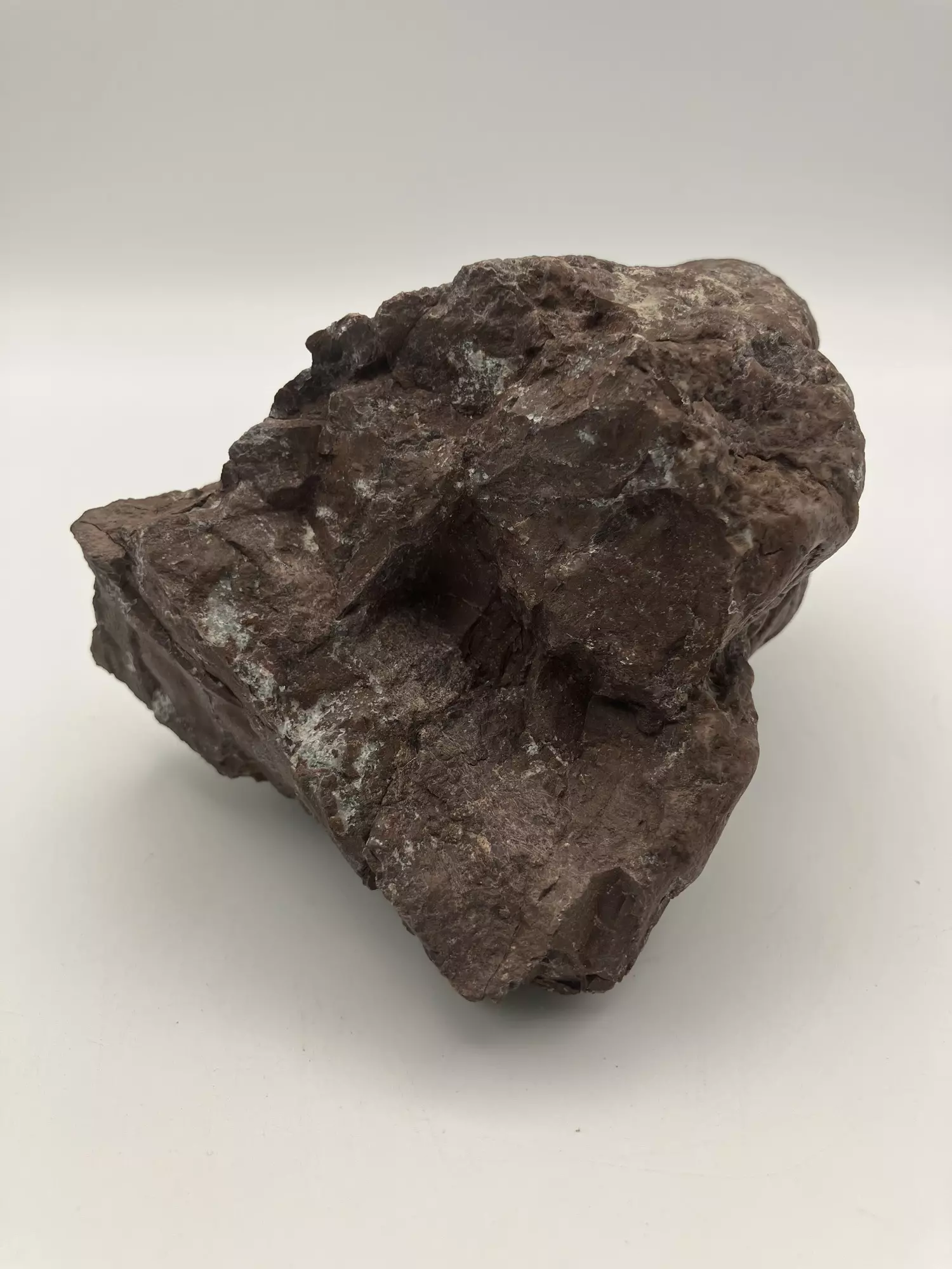plant/Chocolate Jasper - 1lb 5.05oz-0
