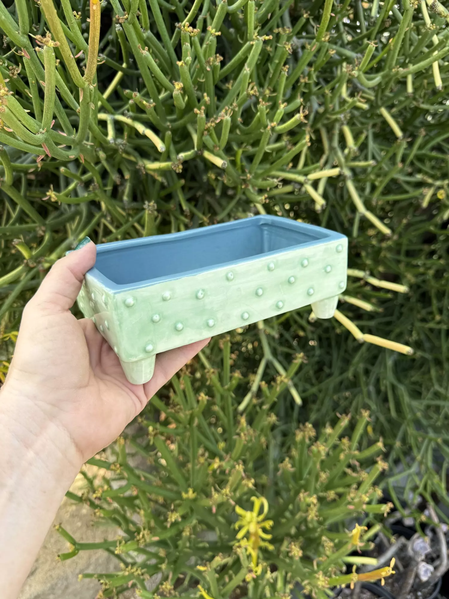 plant/Lg Bonsai ceramic green-0