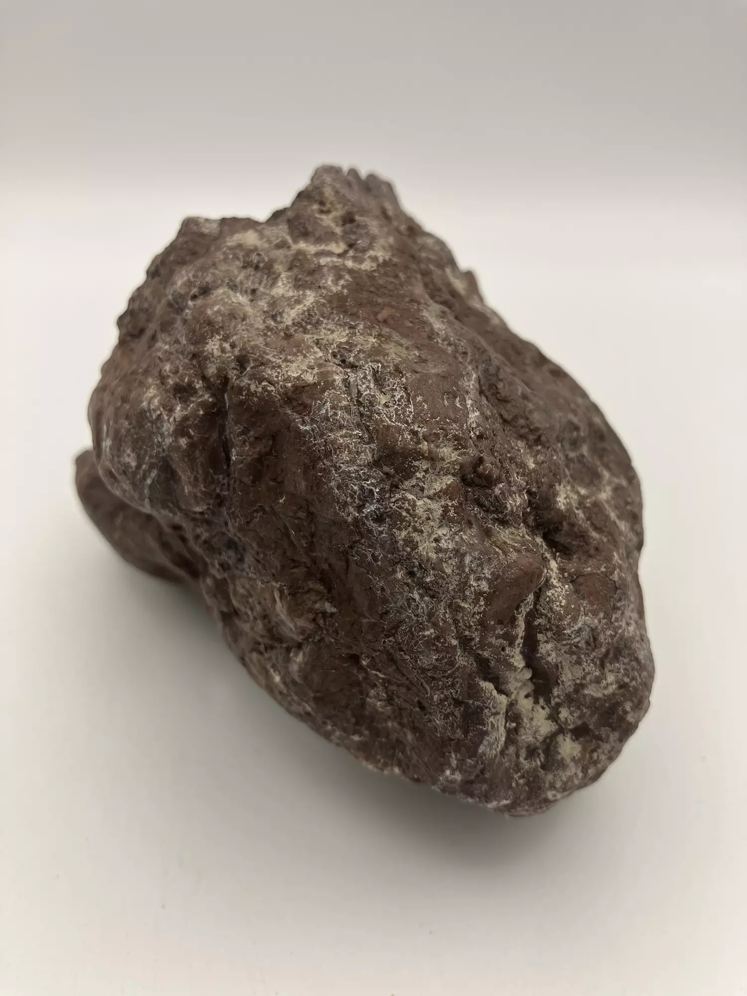 plant/Chocolate Jasper - 1lb 5.05oz-1