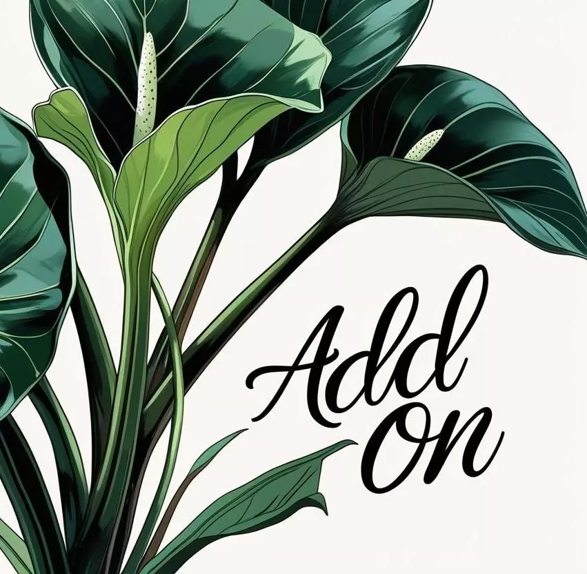 plant/*ADD ON ONLY* Mystery Seedling-0