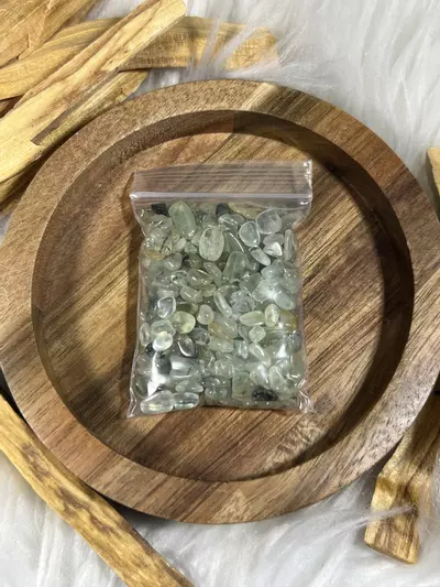 plant/Prehnite with Epidote Chips-0-thumbnail