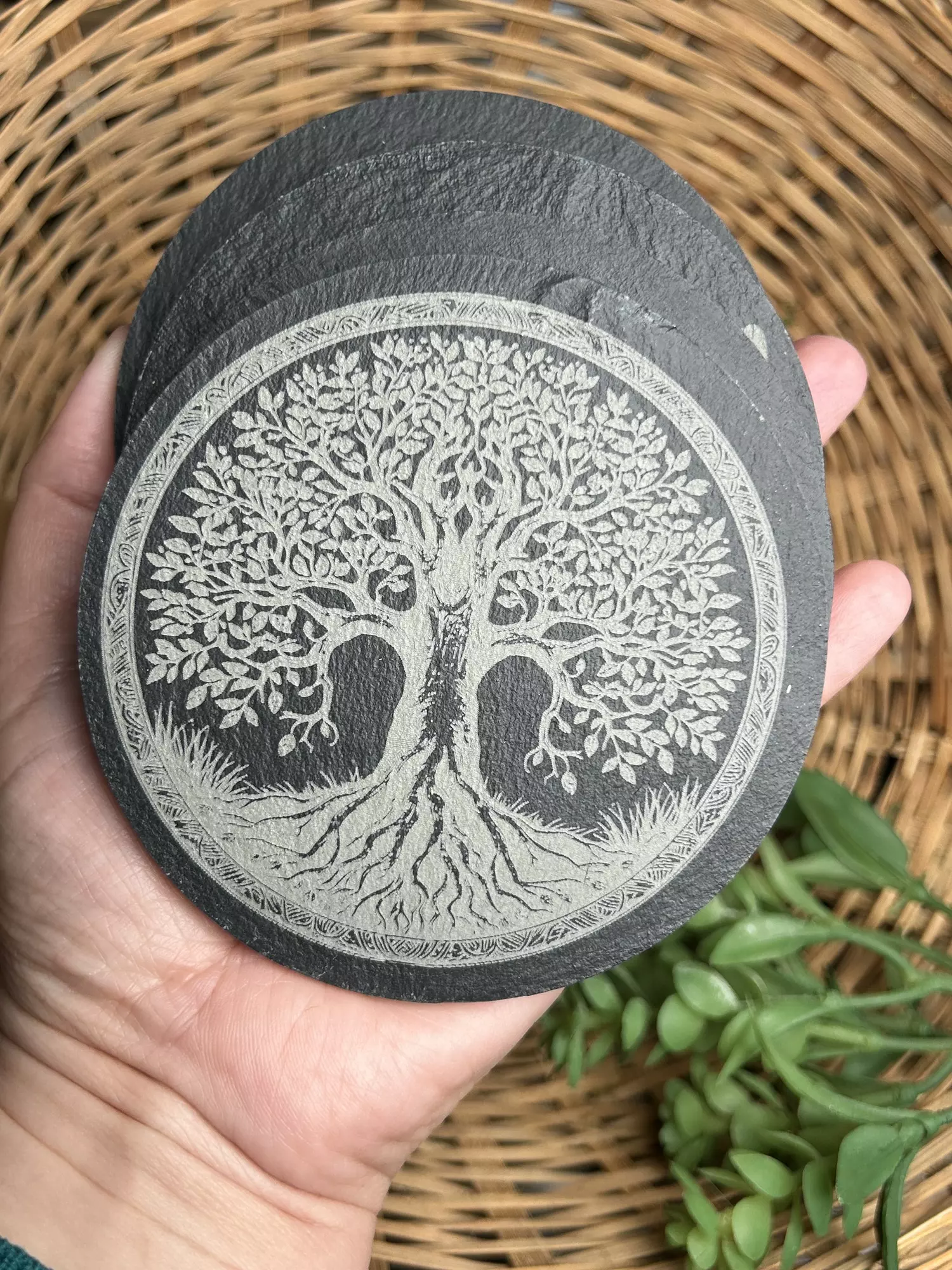 plant/Tree of Life Laser Engraved Slate Coaster set of 4-0