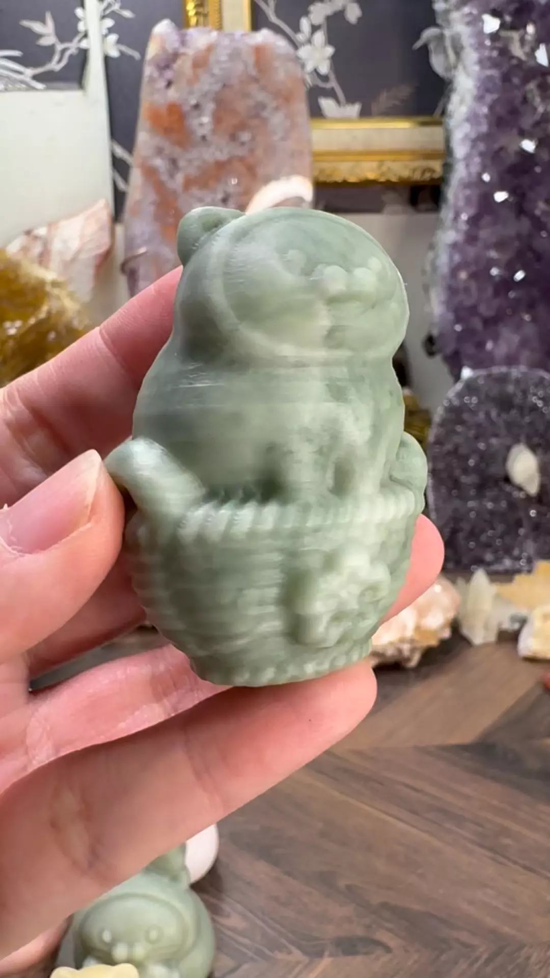 plant/$18| Basketsitting Meow-1