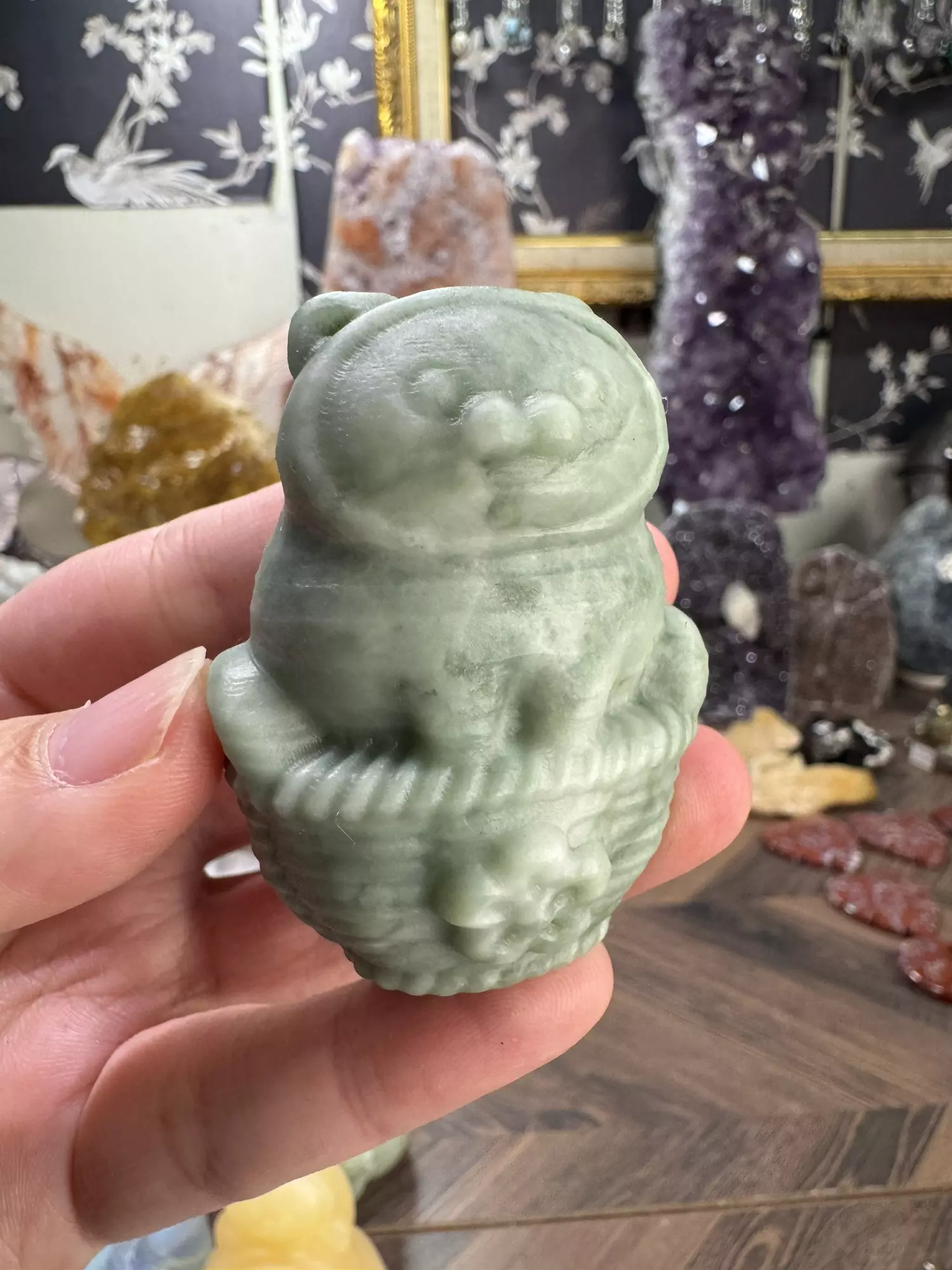 plant/$18| Basketsitting Meow-0