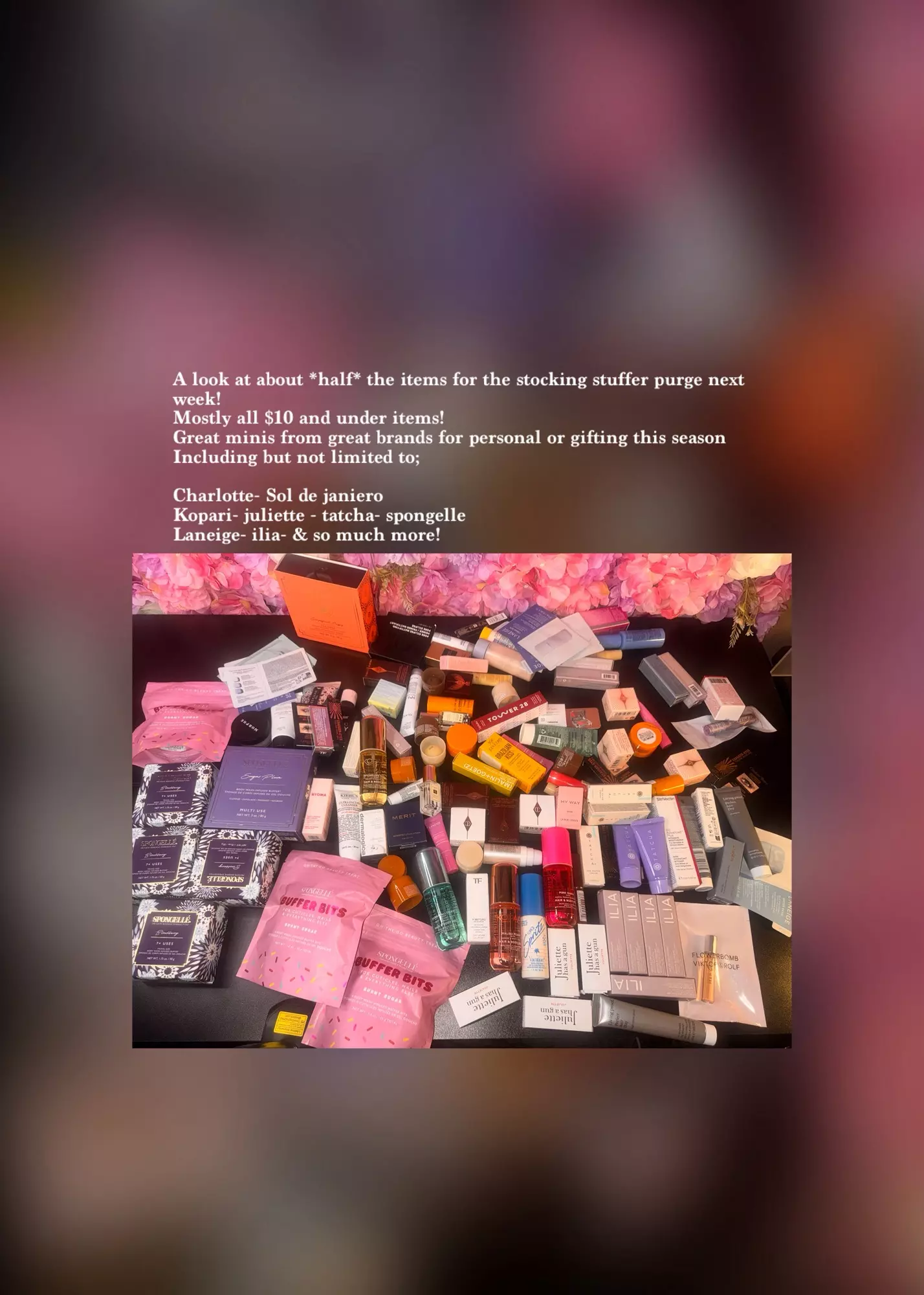 plant/Stocking stuffers peek!-0