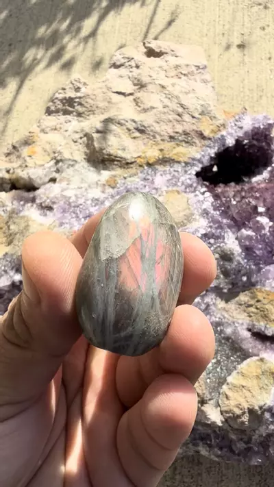 plant/Labradorite palmstone #2-0-thumbnail