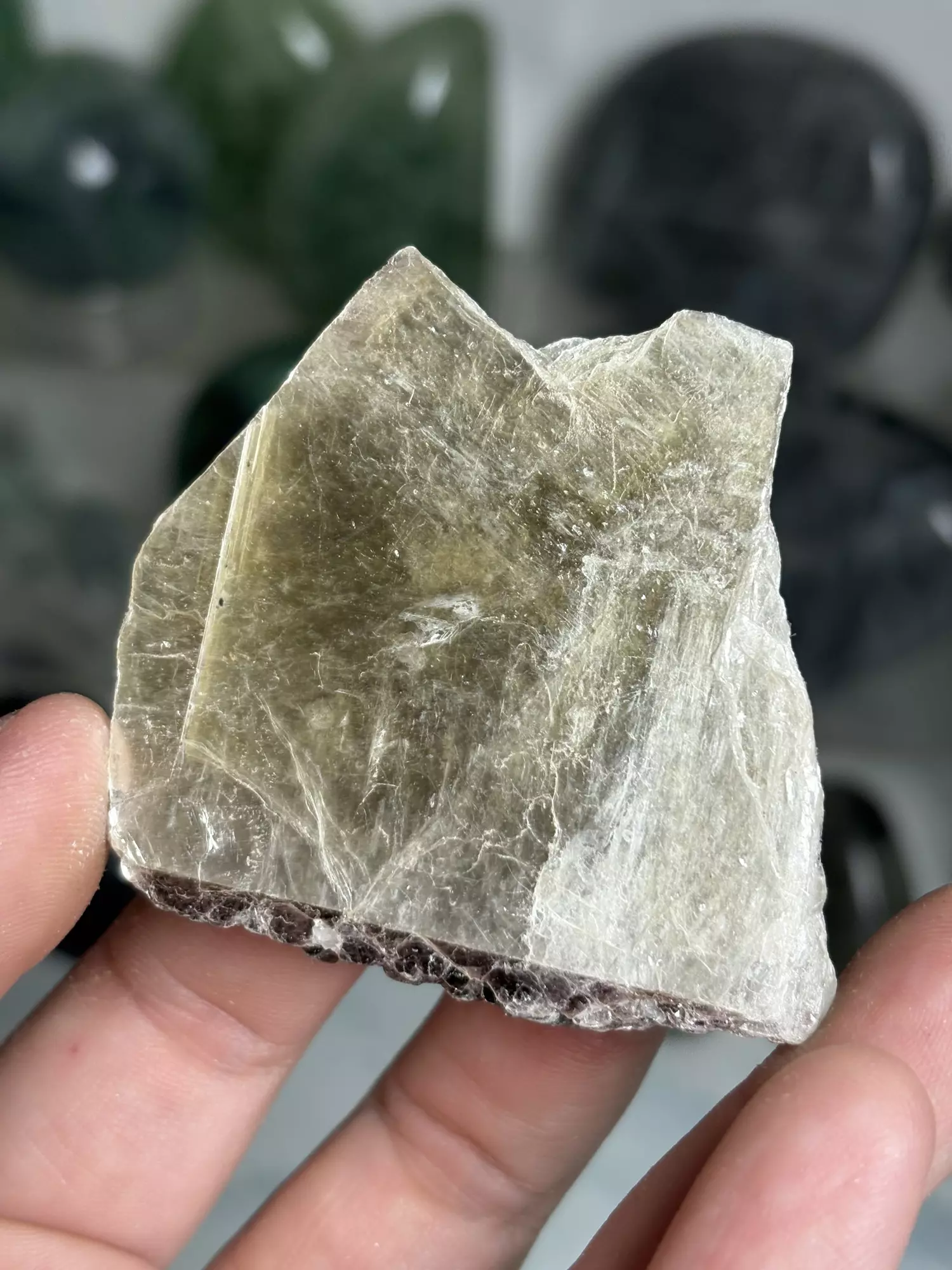 plant/Bicolor Mica Book 3 - Brazil was $6-0