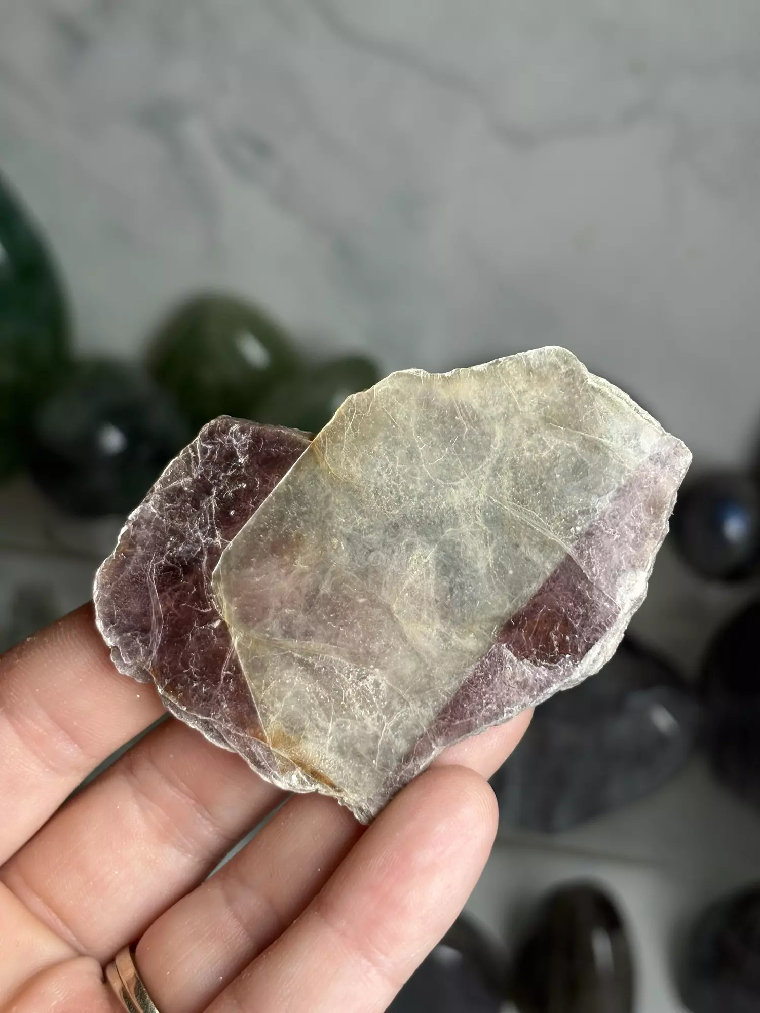 plant/Bicolor Mica Book 2 - Brazil was $8-0