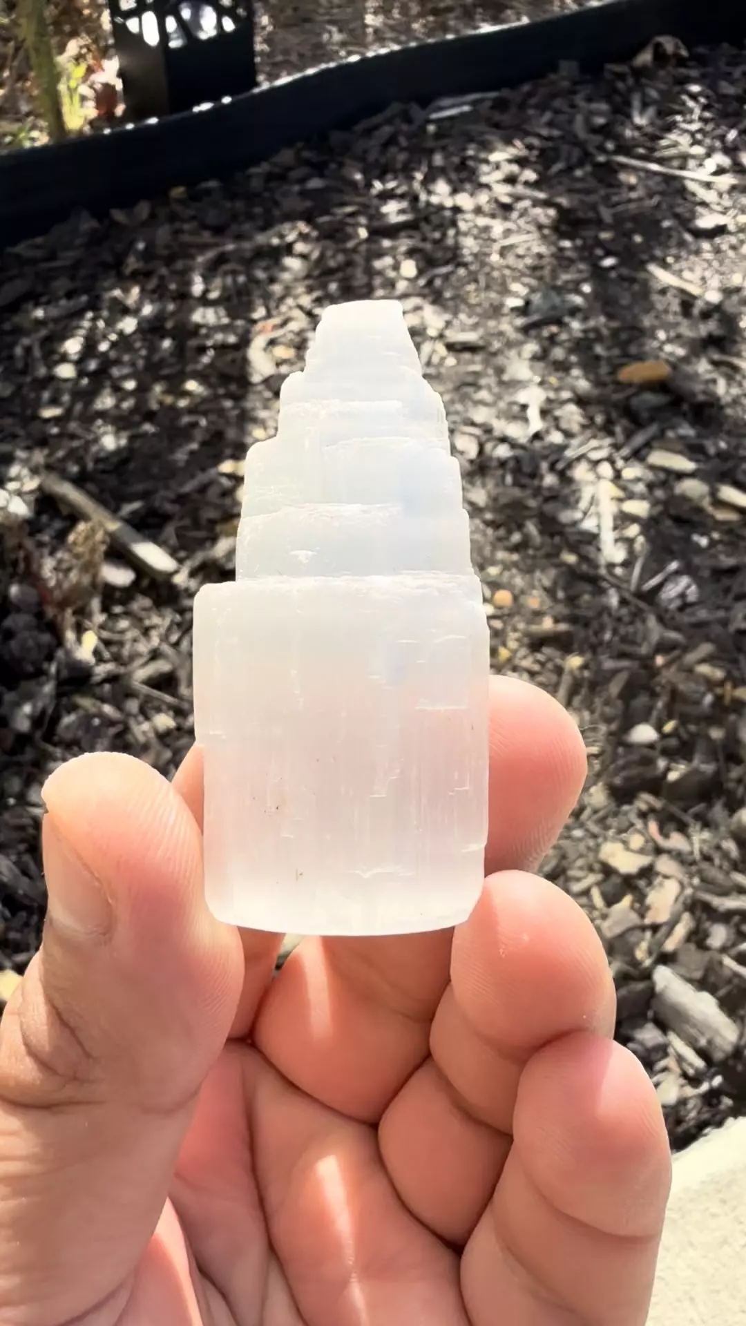 plant/Selenite tower -0