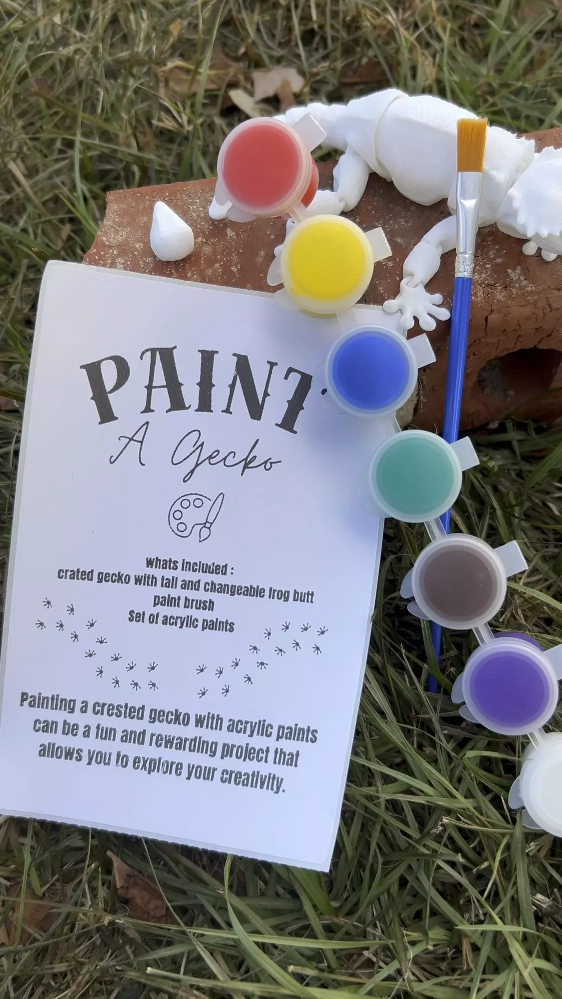 plant/Paint a gecko-1