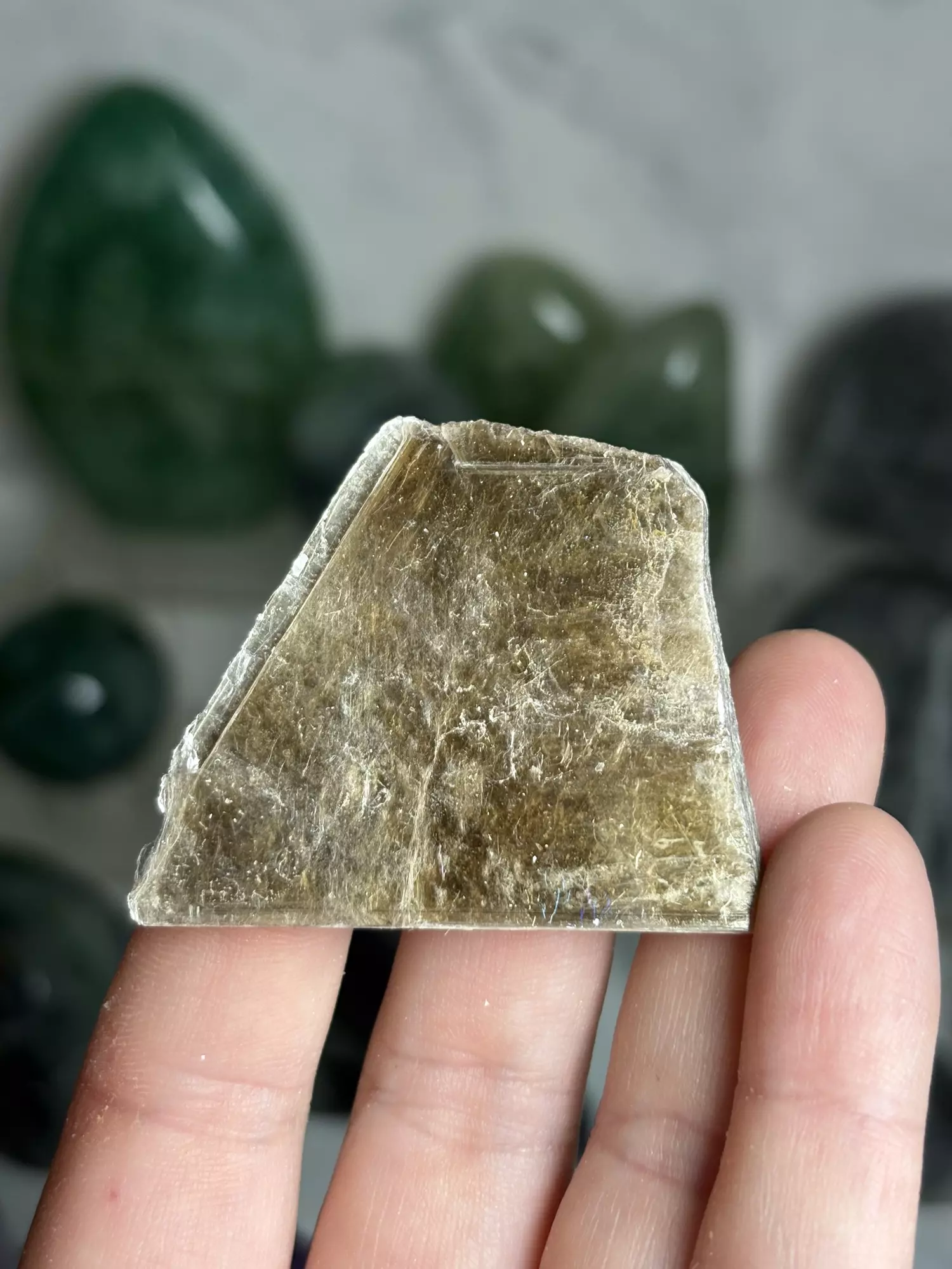 plant/Gold Mica Book - Brazil was $6-0