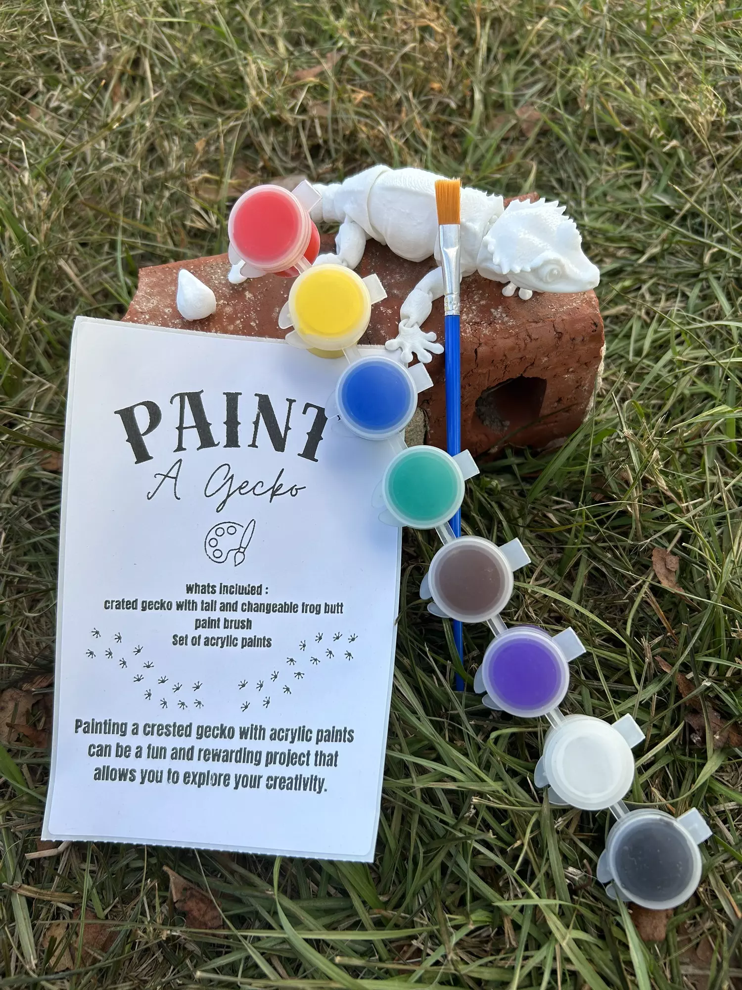 plant/Paint a gecko-0