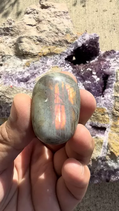 plant/Labradorite palmstone #4-0-thumbnail