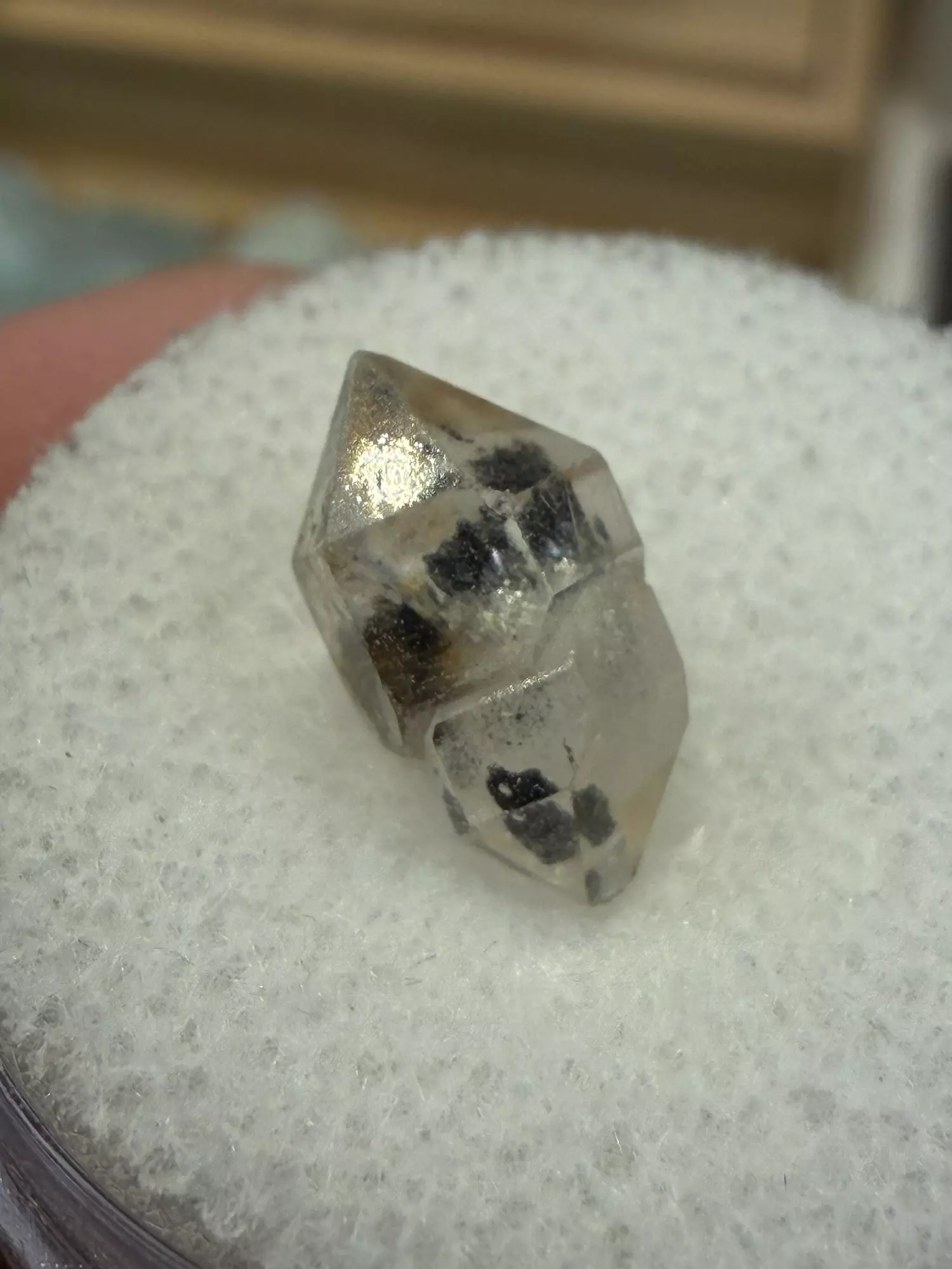 plant/Herkimer Diamond Crystal J-0