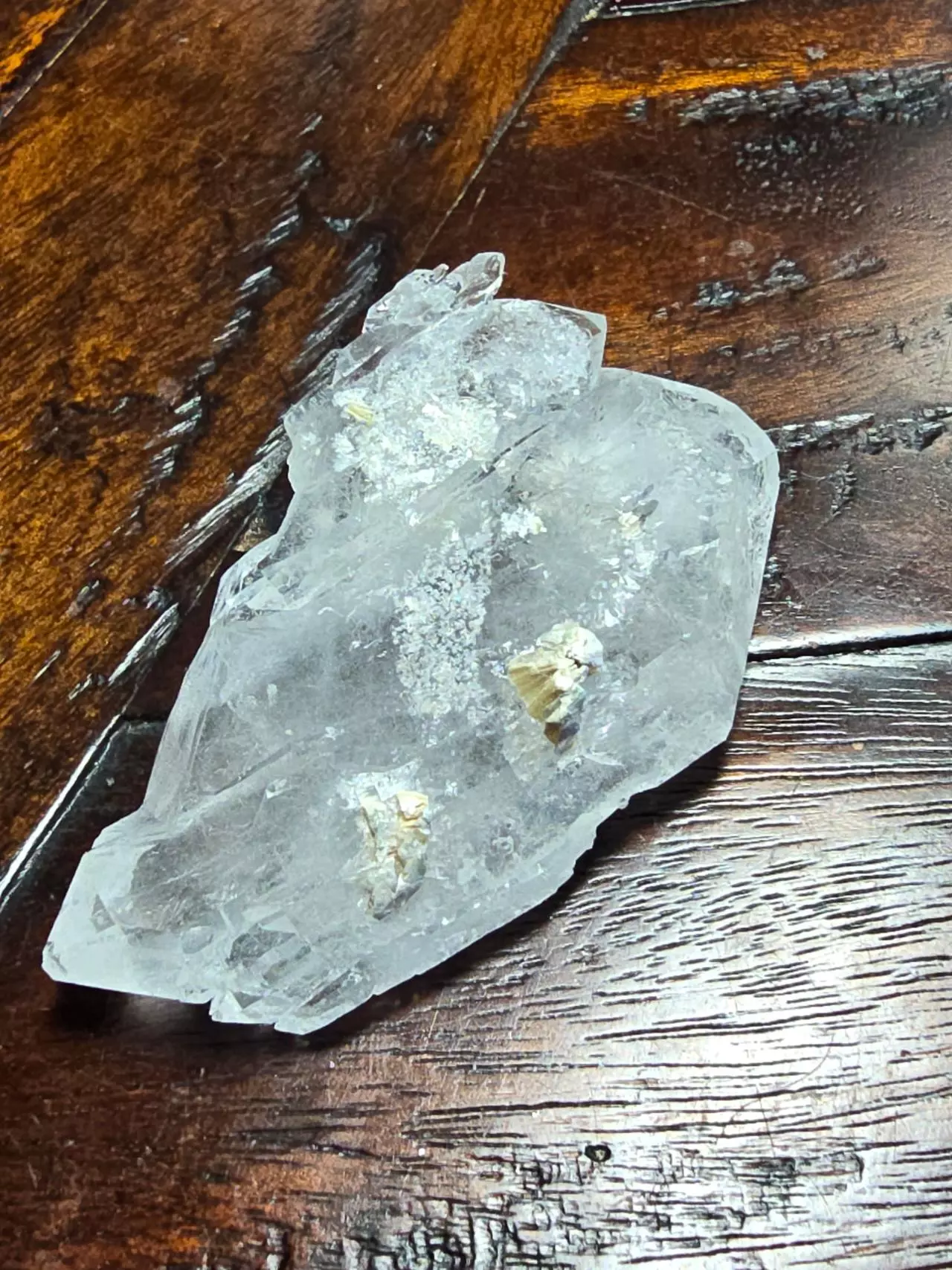 plant/Quartz with little muscovite riders 🚀 M.G Brazil-0