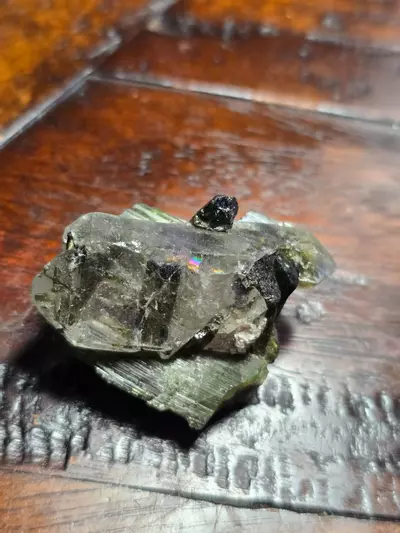 plant/Quartz sitting on tourmaline with tourmaline inclusions M.G Brazil 🌈-0-thumbnail