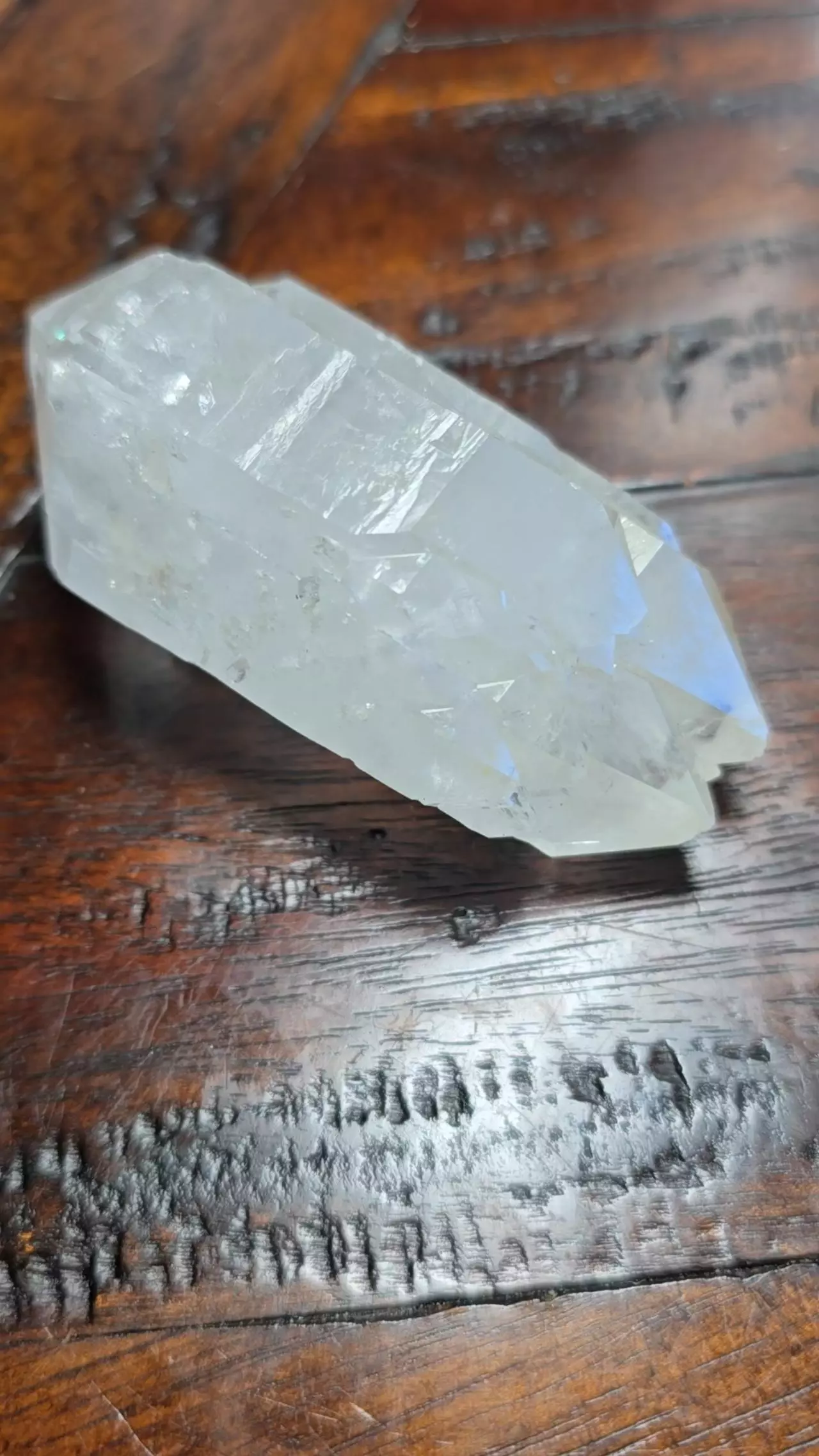 plant/Quartz M.G Brazil-1