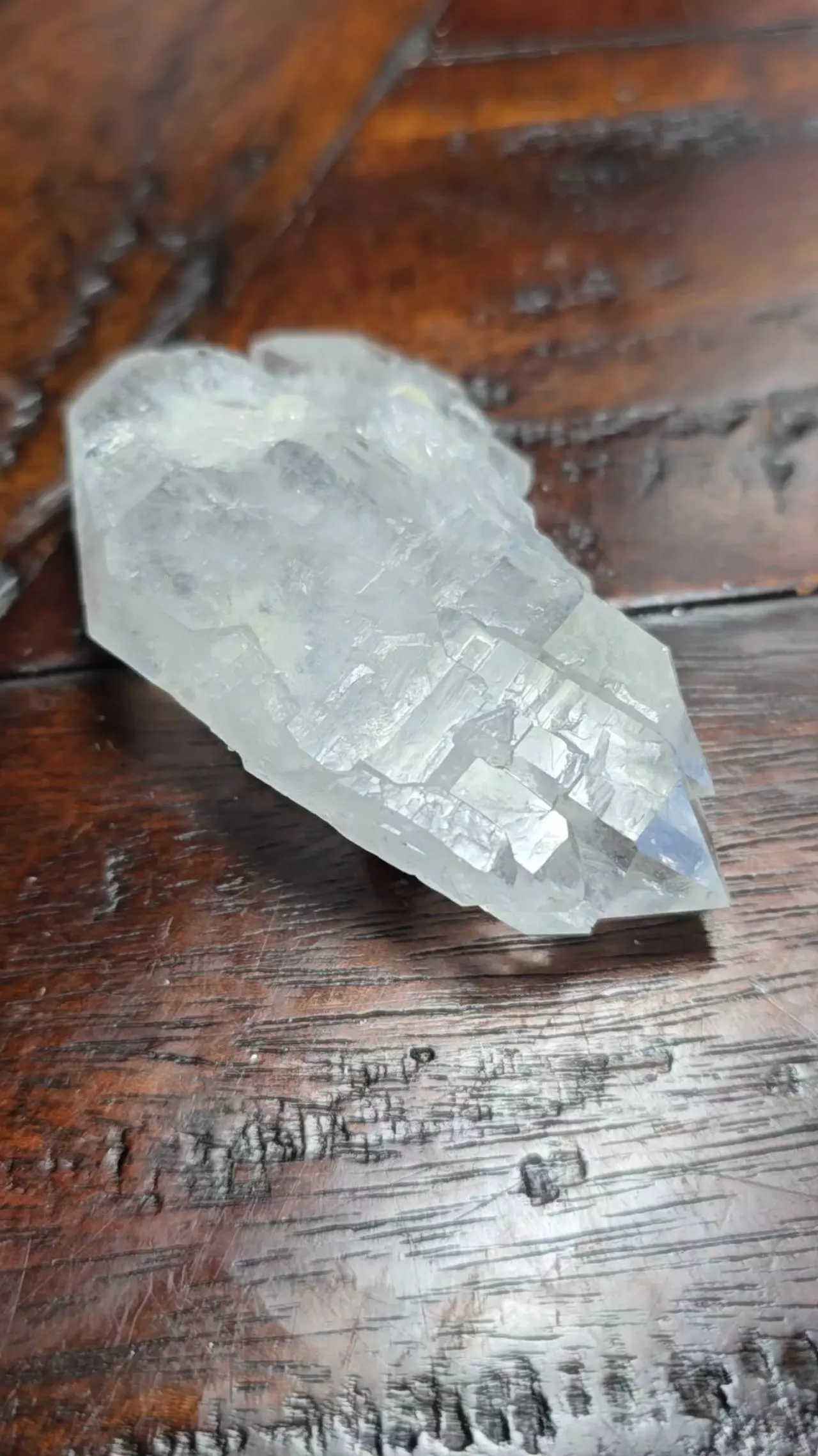 plant/Quartz with little muscovite riders 🚀 M.G Brazil-3