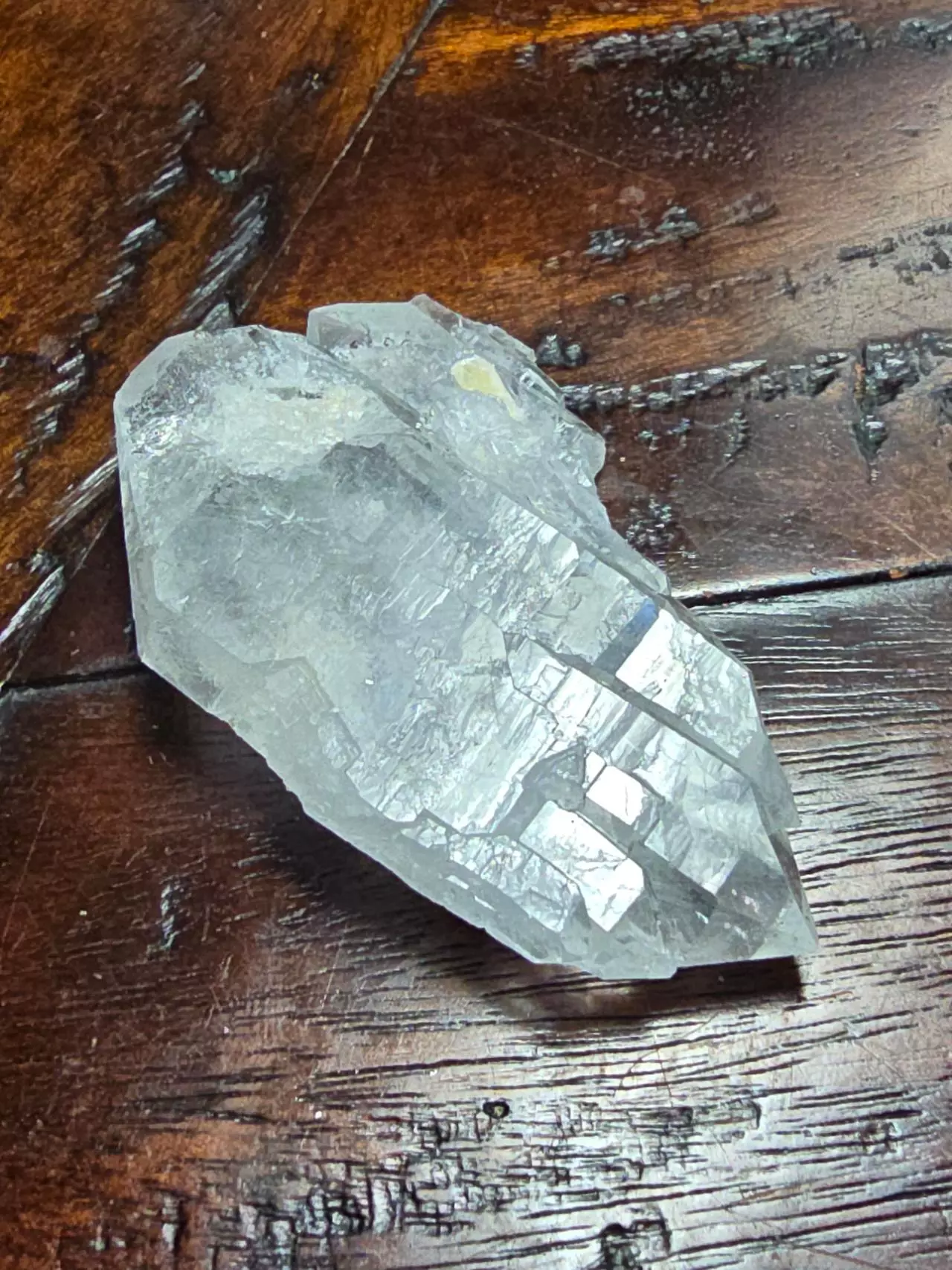 plant/Quartz with little muscovite riders 🚀 M.G Brazil-1