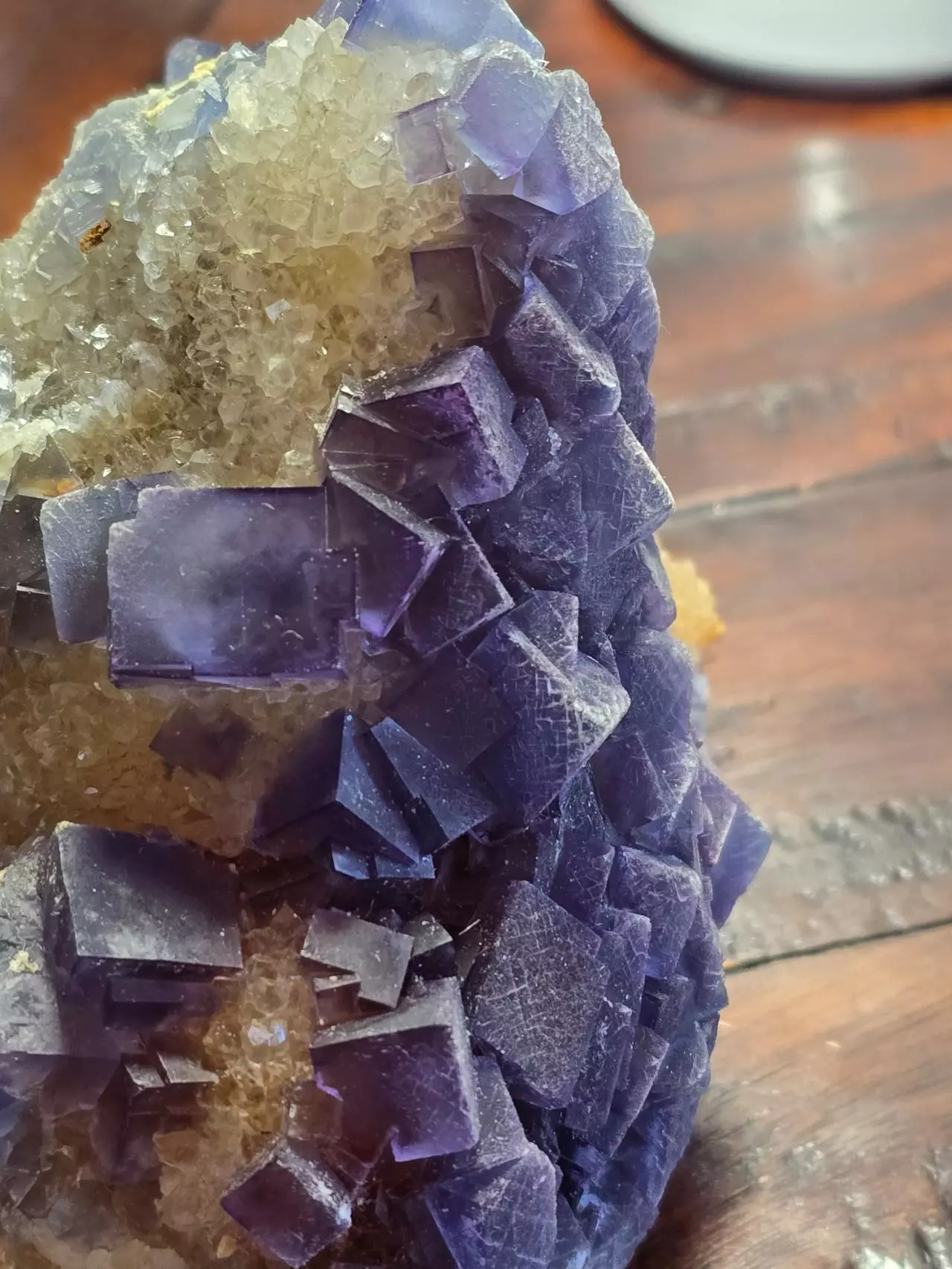 plant/Fluorite on quartz Bingham New Mexico-1