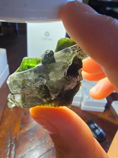 plant/Quartz sitting on tourmaline with tourmaline inclusions M.G Brazil 🌈-1-thumbnail