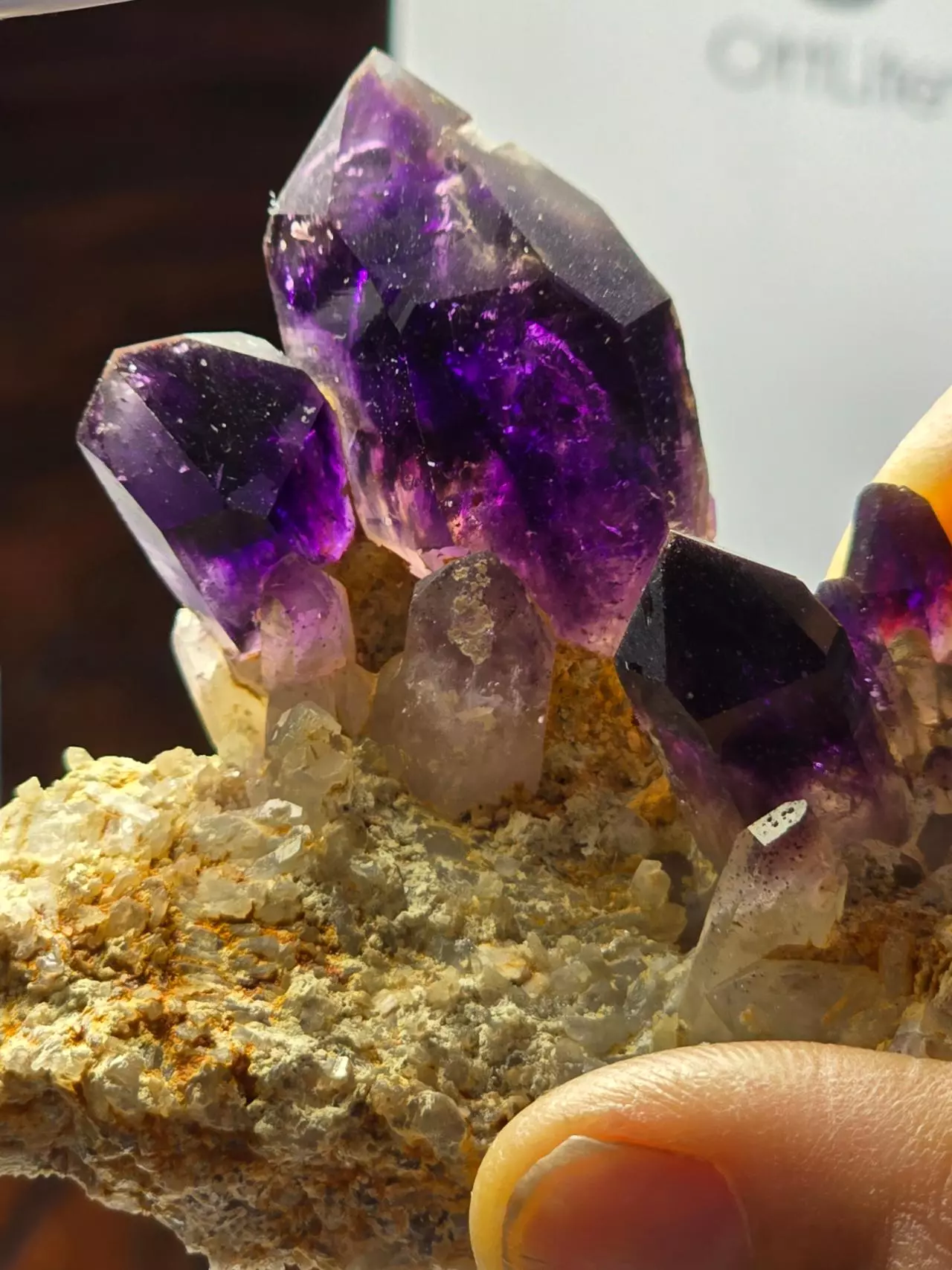 plant/Amethyst in matrix Brandberg Namibia not as common-1