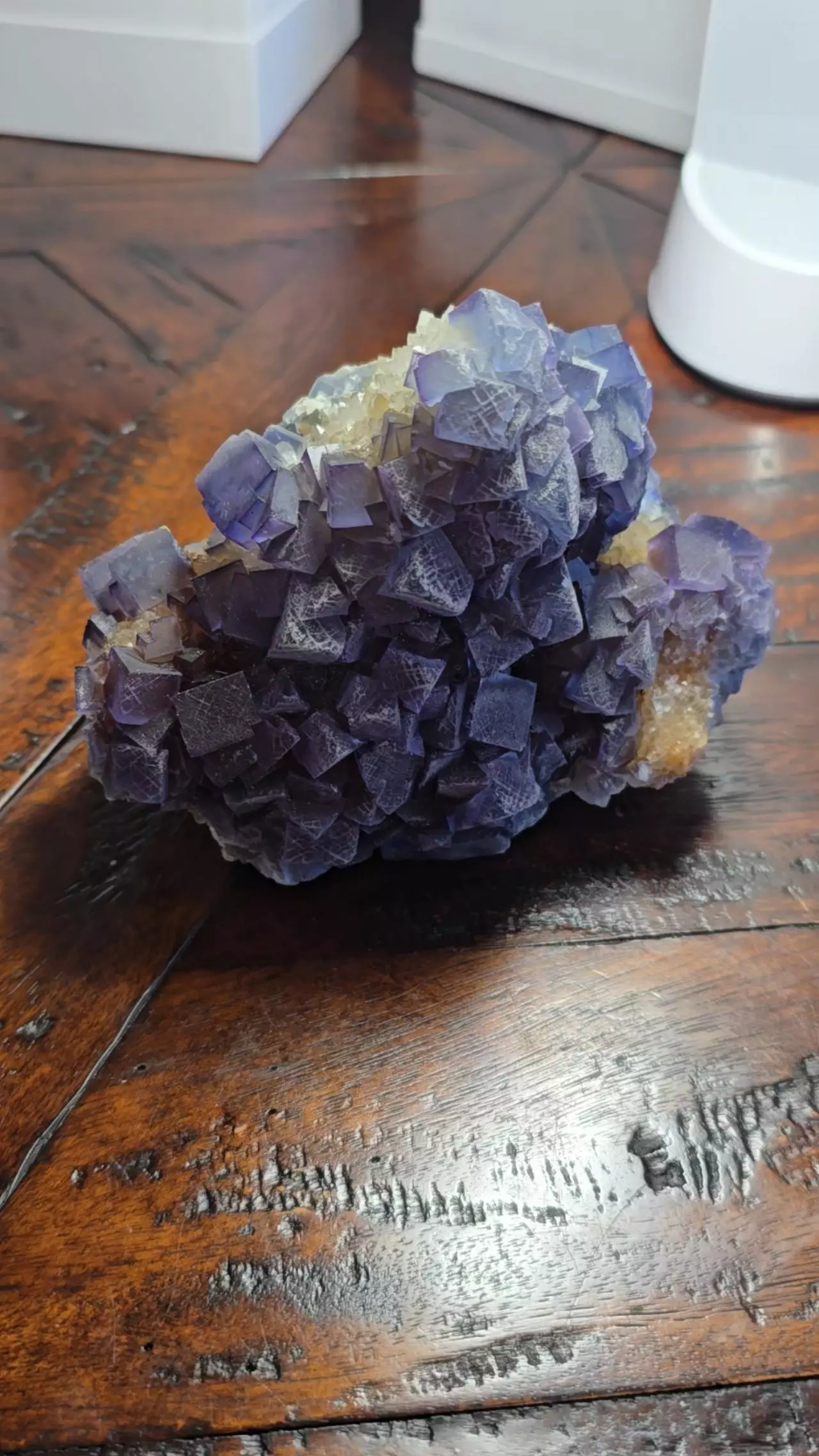 plant/Fluorite on quartz Bingham New Mexico-2