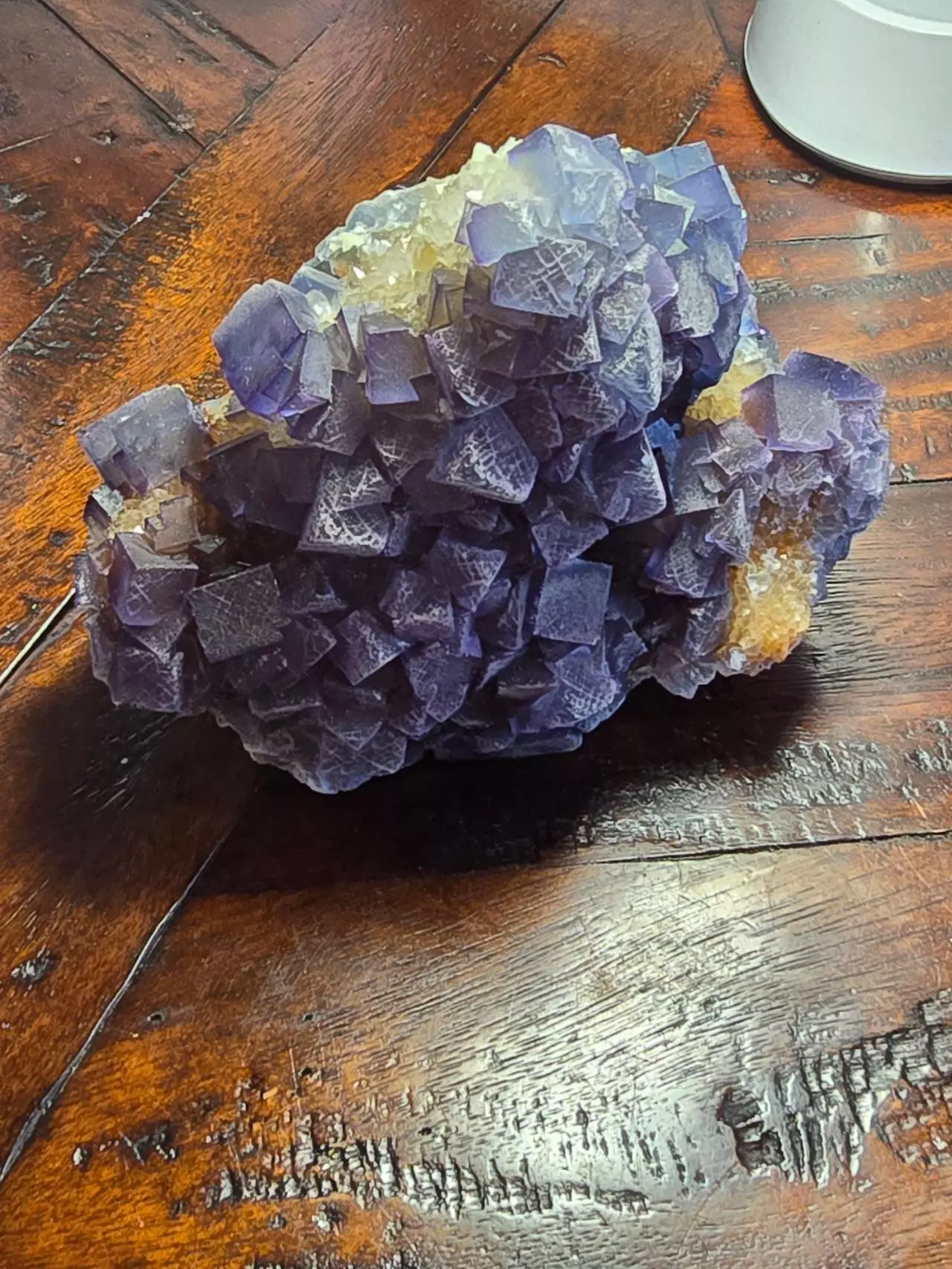 plant/Fluorite on quartz Bingham New Mexico-0