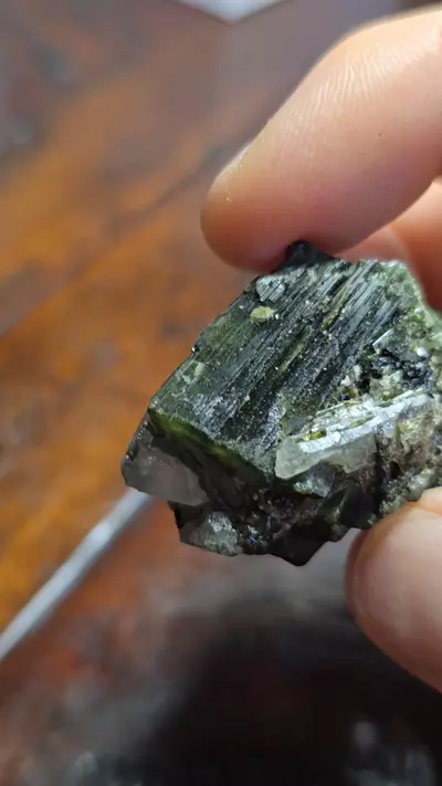 plant/Quartz sitting on tourmaline with tourmaline inclusions M.G Brazil 🌈-3-thumbnail